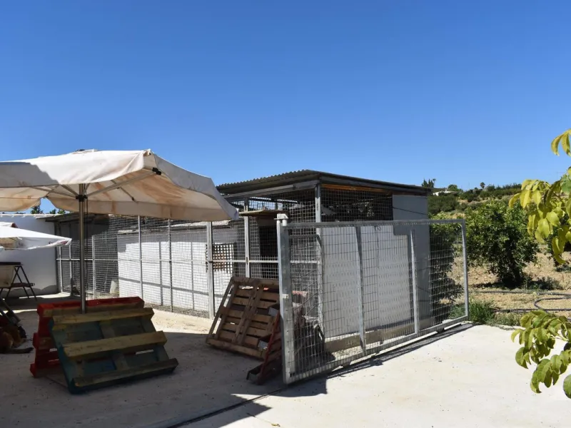 Country house located on the outskirts of Alhaurin el Grande with a plot of more than 14,000m2 ideal for horse lovers. The house is on one floor and consists of a large front porch as well as a rear porch towards the pool area which is surrounded by a lar