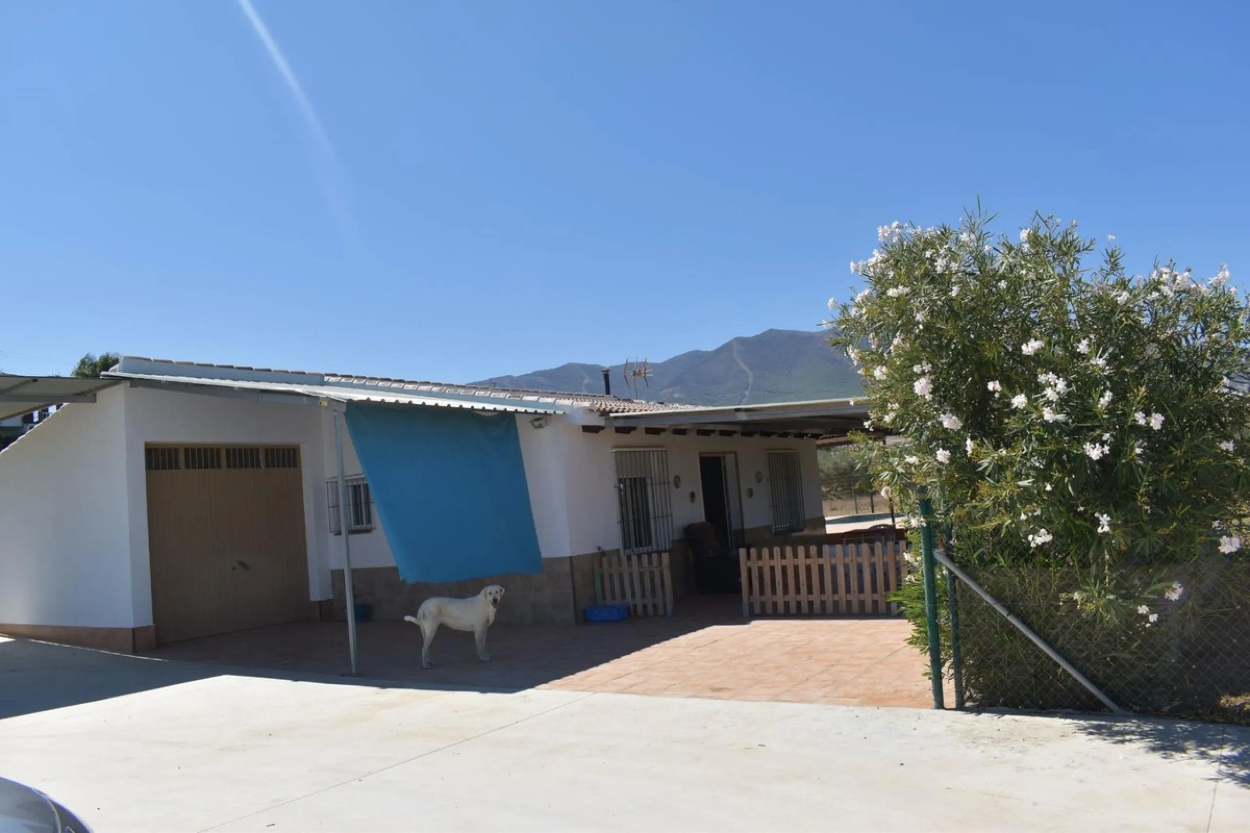Country house located on the outskirts of Alhaurin el Grande with a plot of more than 14,000m2 ideal for horse lovers. The house is on one floor and consists of a large front porch as well as a rear porch towards the pool area which is surrounded by a lar