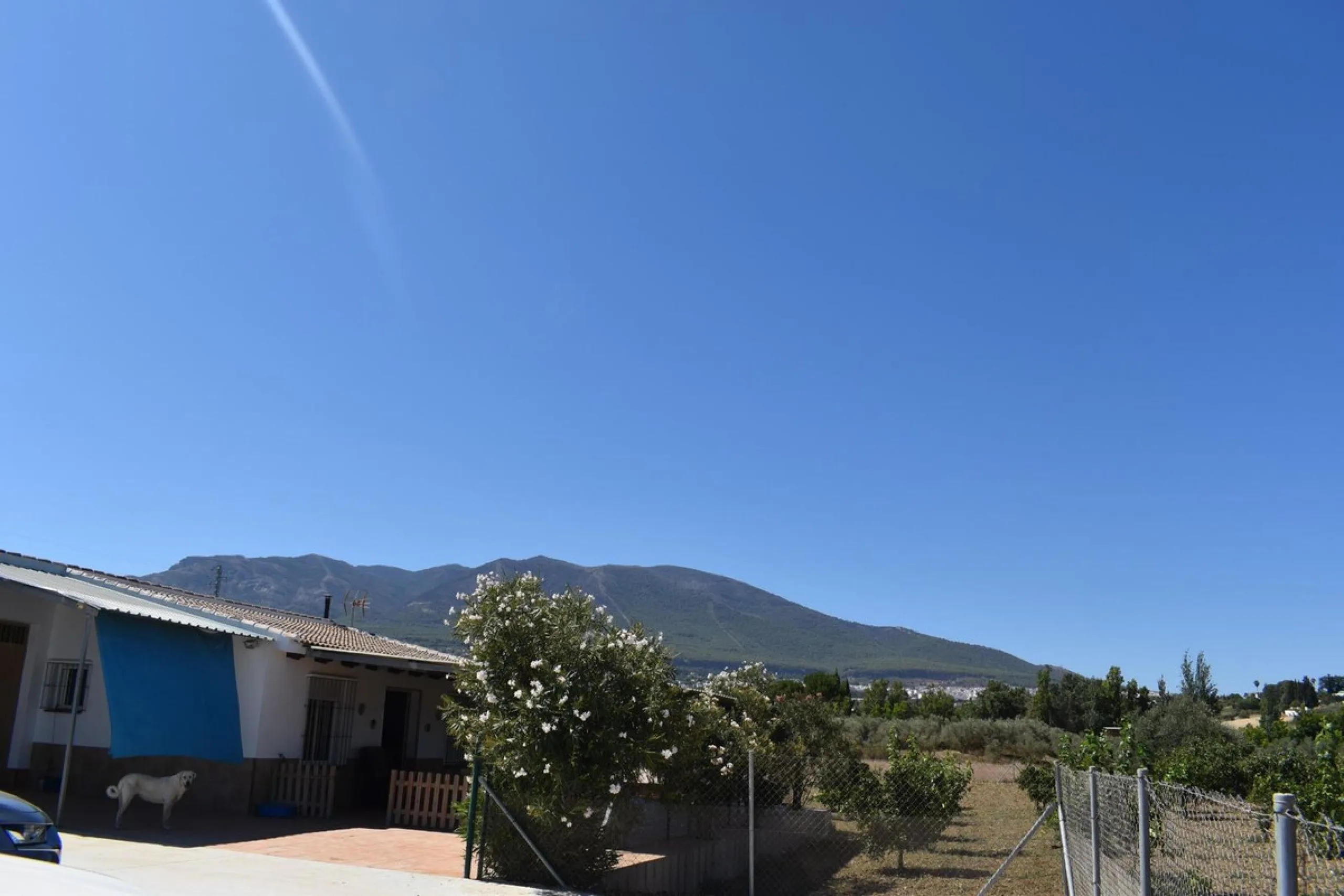 Country house located on the outskirts of Alhaurin el Grande with a plot of more than 14,000m2 ideal for horse lovers. The house is on one floor and consists of a large front porch as well as a rear porch towards the pool area which is surrounded by a lar