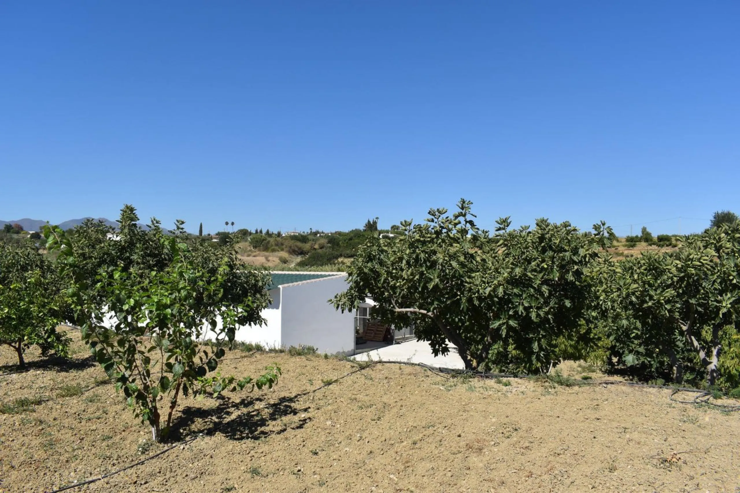 Country house located on the outskirts of Alhaurin el Grande with a plot of more than 14,000m2 ideal for horse lovers. The house is on one floor and consists of a large front porch as well as a rear porch towards the pool area which is surrounded by a lar