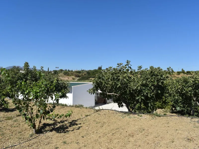 Country house located on the outskirts of Alhaurin el Grande with a plot of more than 14,000m2 ideal for horse lovers. The house is on one floor and consists of a large front porch as well as a rear porch towards the pool area which is surrounded by a lar