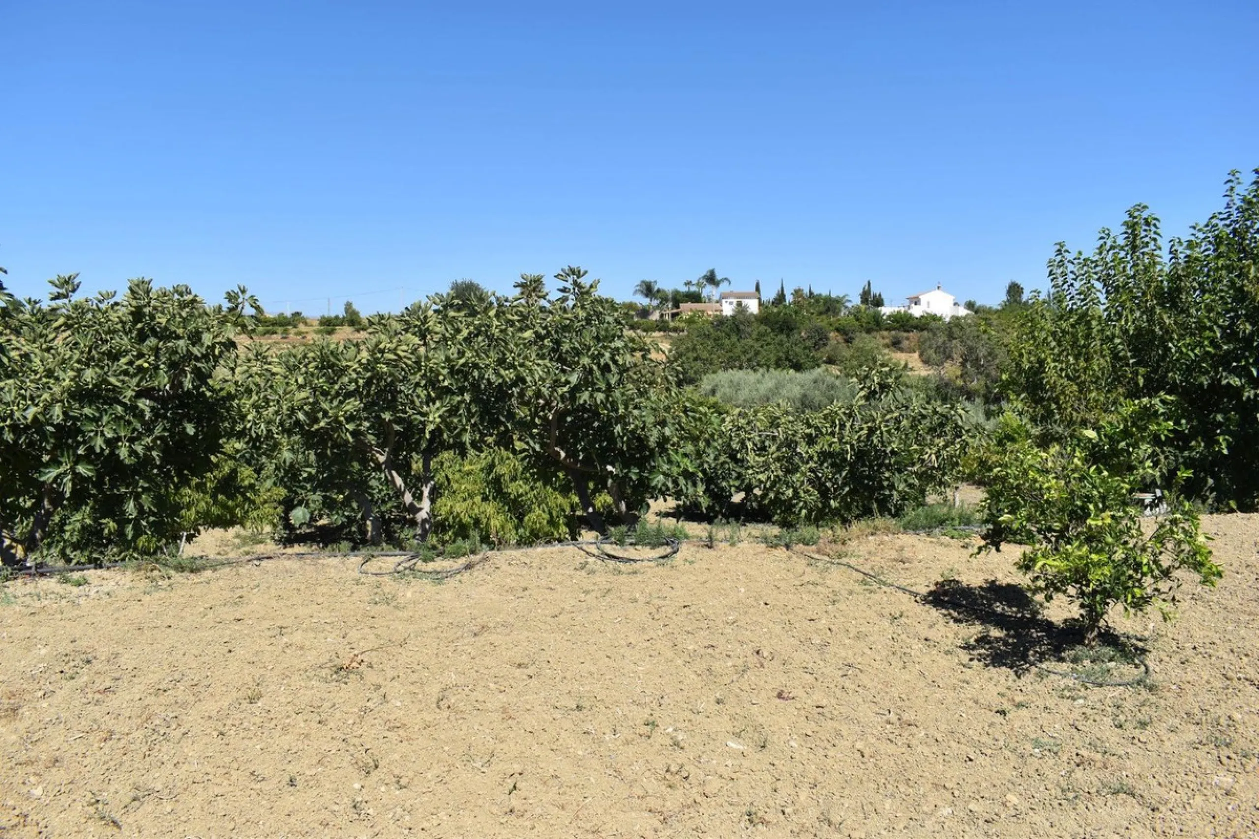 Country house located on the outskirts of Alhaurin el Grande with a plot of more than 14,000m2 ideal for horse lovers. The house is on one floor and consists of a large front porch as well as a rear porch towards the pool area which is surrounded by a lar