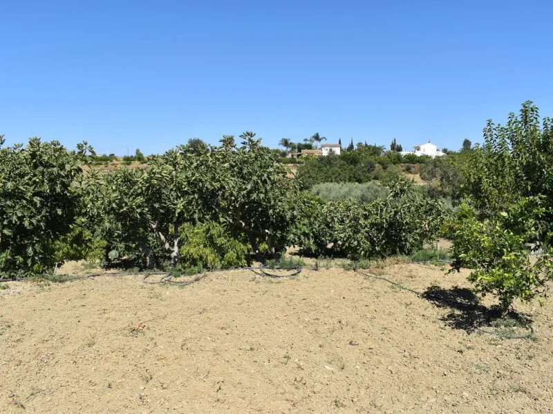 Country house located on the outskirts of Alhaurin el Grande with a plot of more than 14,000m2 ideal for horse lovers. The house is on one floor and consists of a large front porch as well as a rear porch towards the pool area which is surrounded by a lar