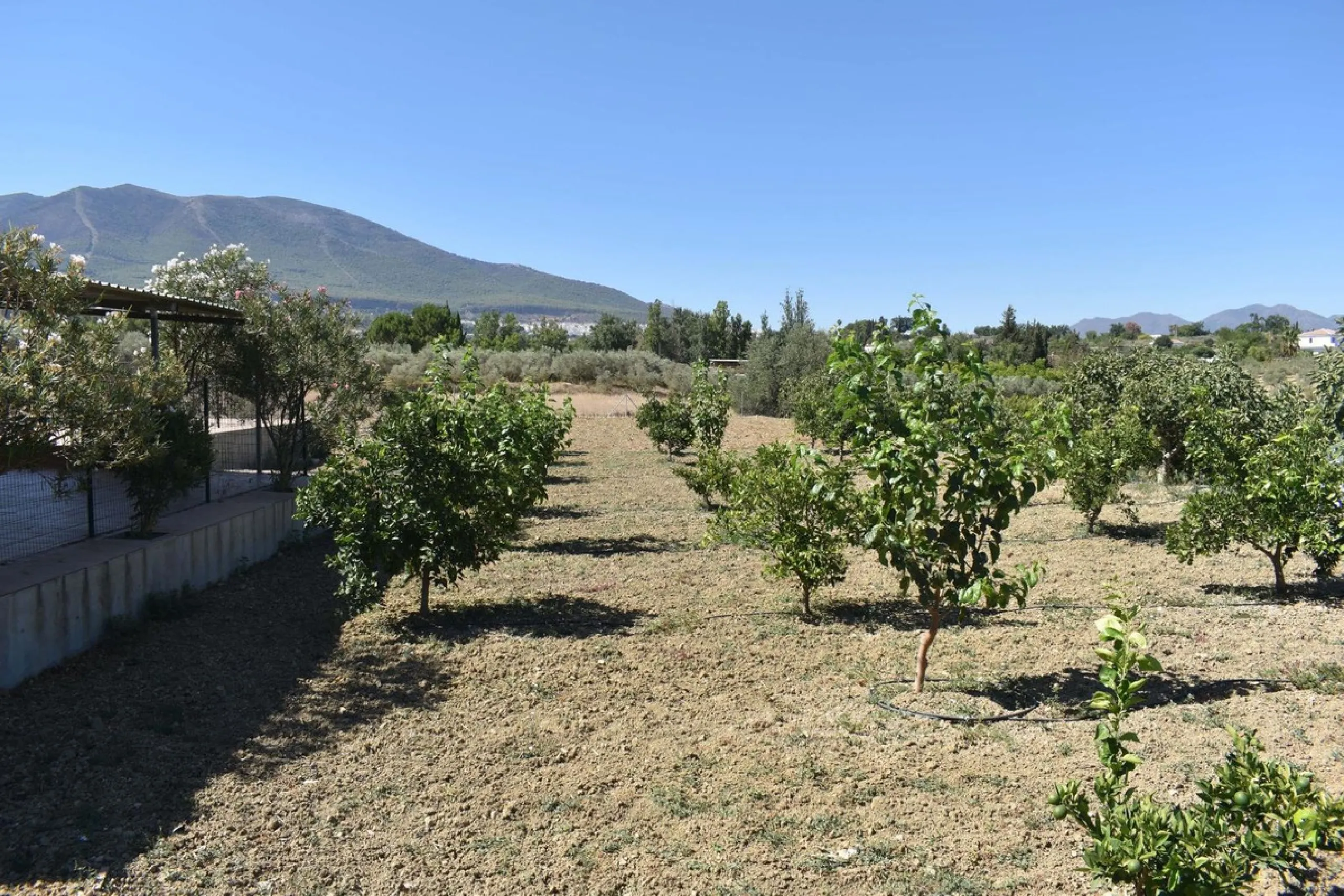 Country house located on the outskirts of Alhaurin el Grande with a plot of more than 14,000m2 ideal for horse lovers. The house is on one floor and consists of a large front porch as well as a rear porch towards the pool area which is surrounded by a lar