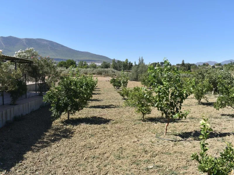 Country house located on the outskirts of Alhaurin el Grande with a plot of more than 14,000m2 ideal for horse lovers. The house is on one floor and consists of a large front porch as well as a rear porch towards the pool area which is surrounded by a lar