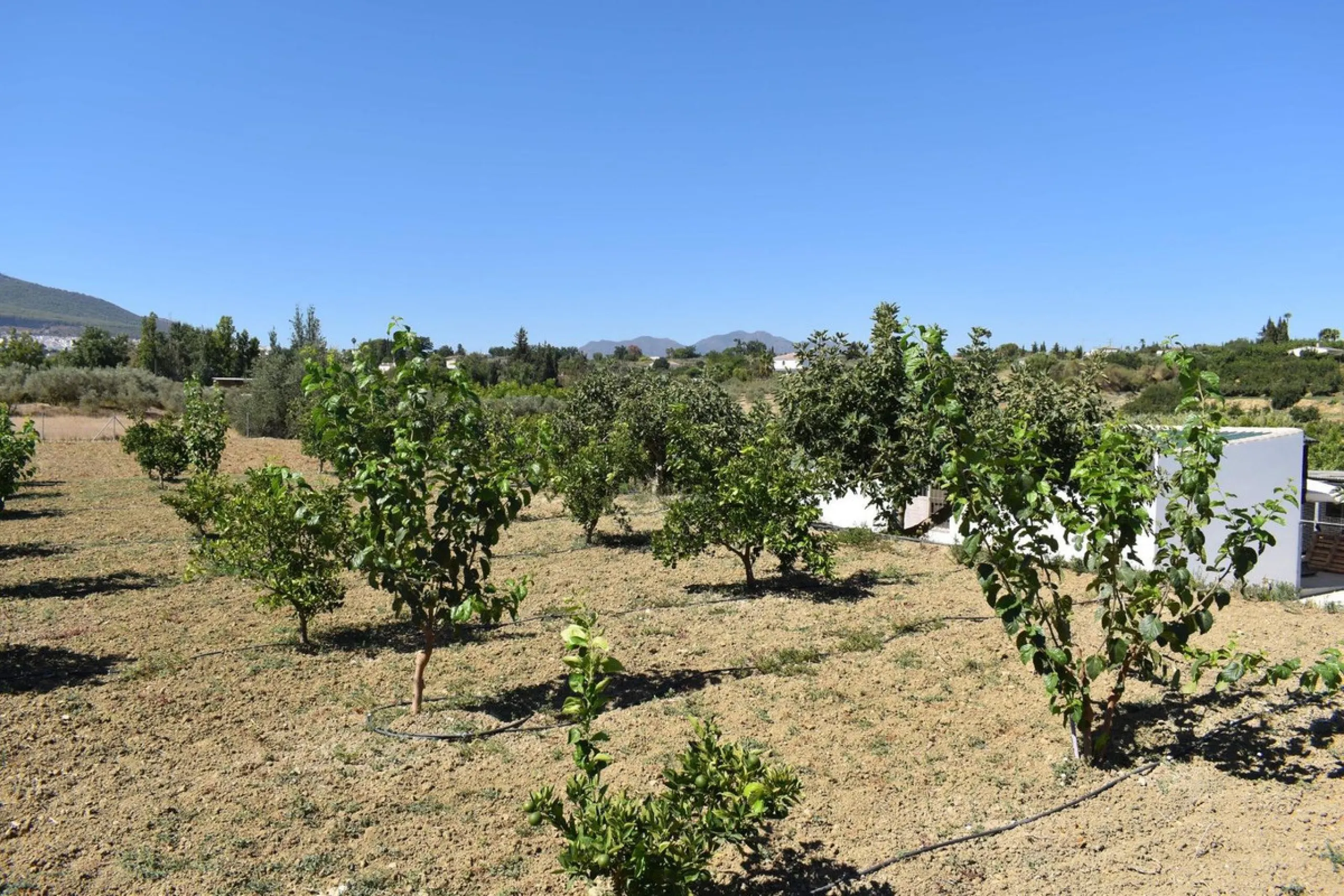 Country house located on the outskirts of Alhaurin el Grande with a plot of more than 14,000m2 ideal for horse lovers. The house is on one floor and consists of a large front porch as well as a rear porch towards the pool area which is surrounded by a lar