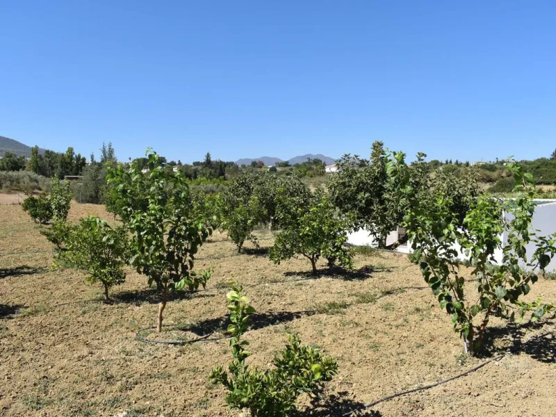 Country house located on the outskirts of Alhaurin el Grande with a plot of more than 14,000m2 ideal for horse lovers. The house is on one floor and consists of a large front porch as well as a rear porch towards the pool area which is surrounded by a lar