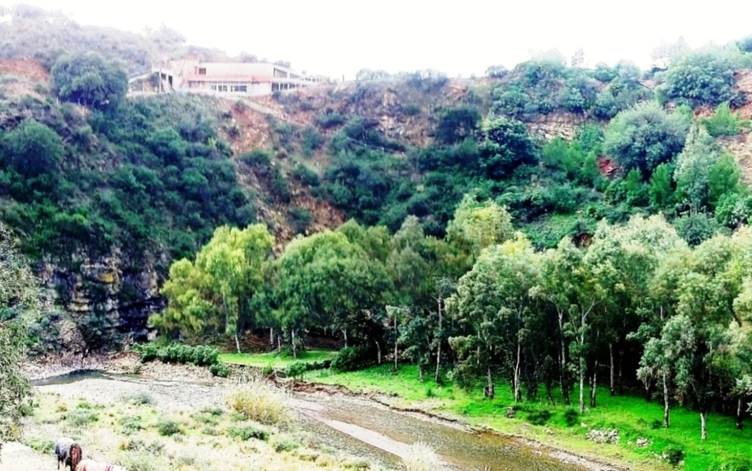 Plot for sale Entrerríos Mijas area!