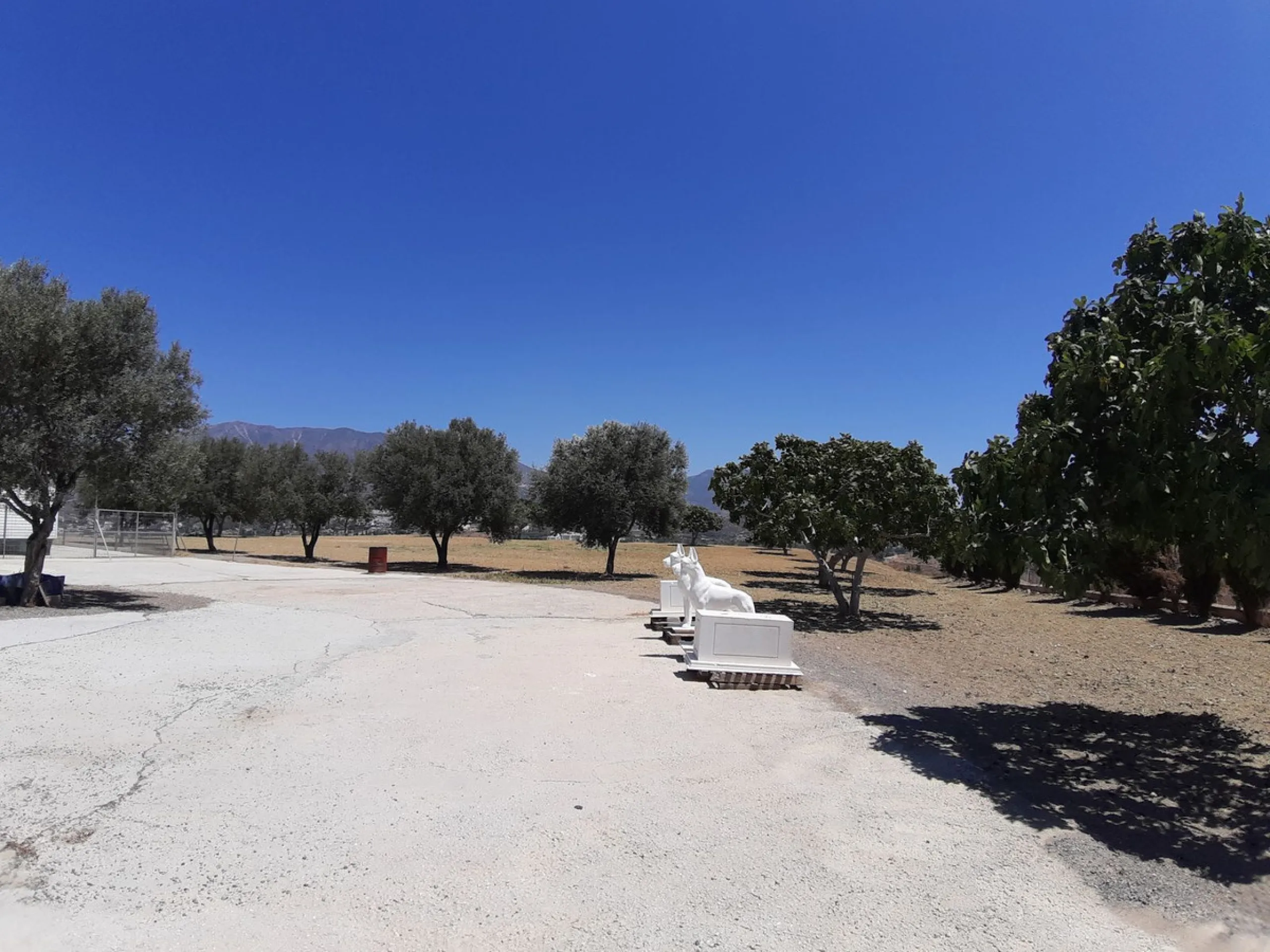 Fabulous rustic farm of 28,131 m2 for sale, about 5 minutes by car from the service area and restaurants.