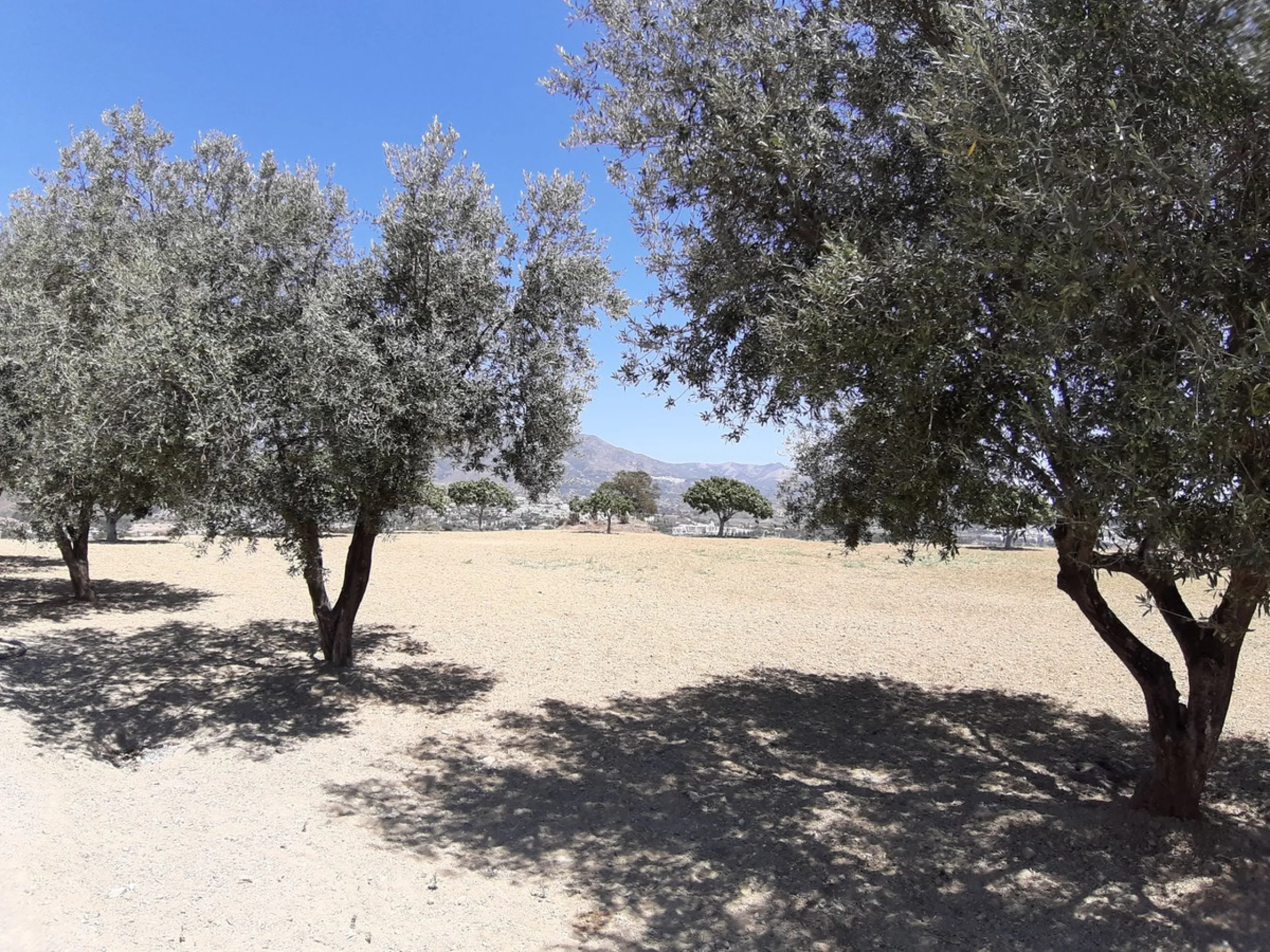 Fabulous rustic farm of 28,131 m2 for sale, about 5 minutes by car from the service area and restaurants.