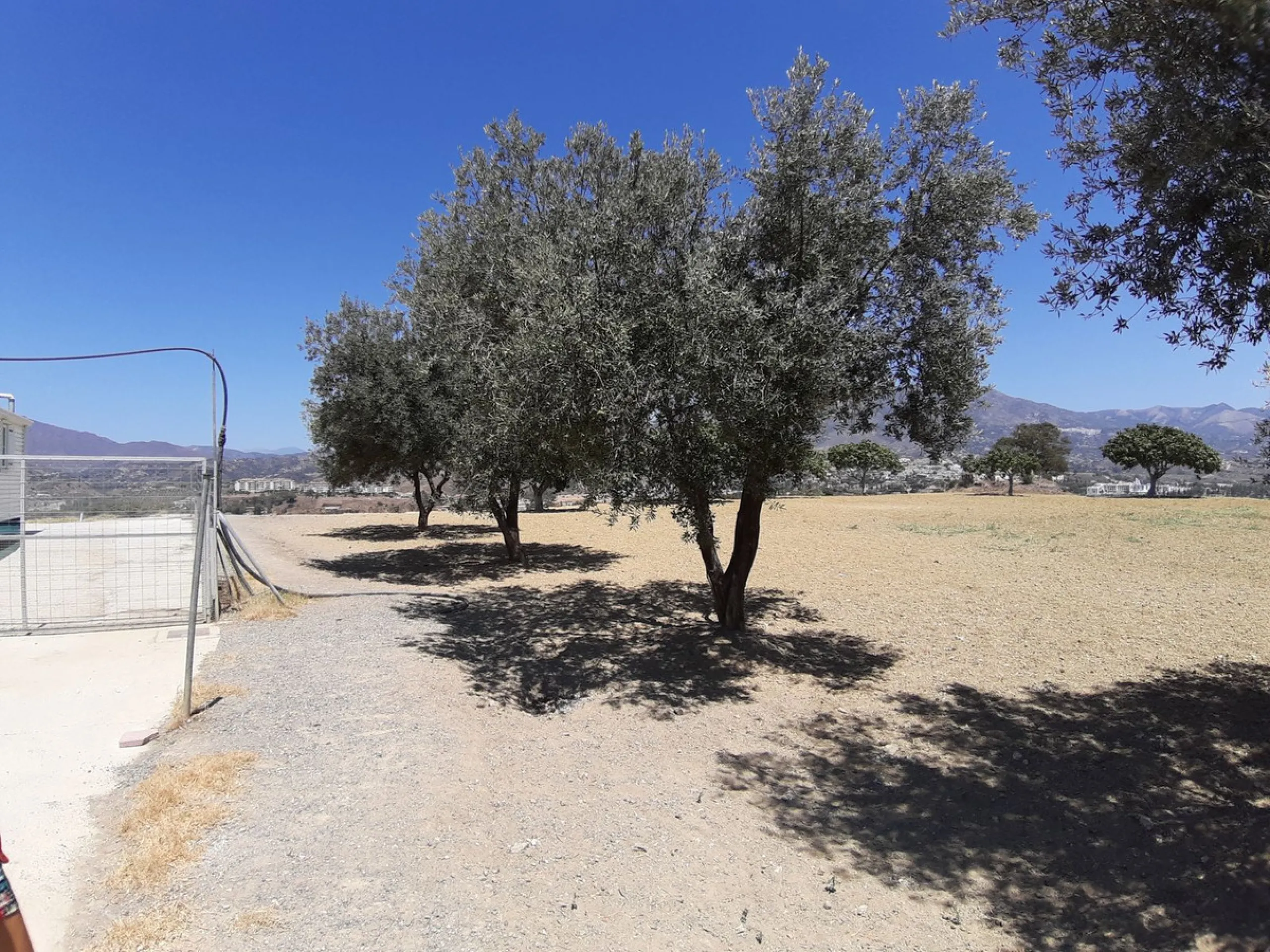 Fabulous rustic farm of 28,131 m2 for sale, about 5 minutes by car from the service area and restaurants.