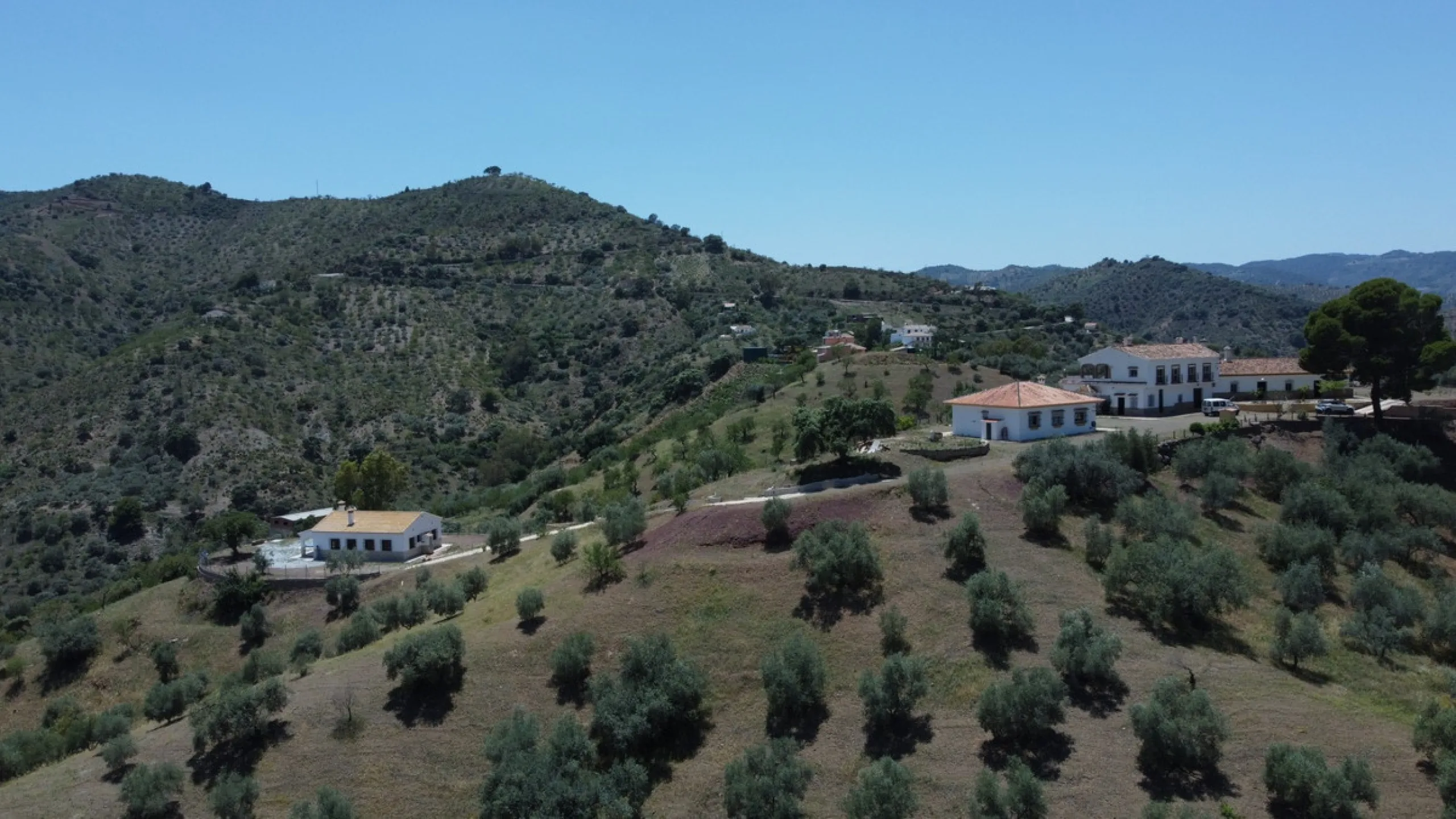 We are pleased to offer you the perfect investment in one of the most beautiful corners of Andalusia. In Comares one of the oldest municipalities of the Axarquia, one of the beautiful white villages, with a lot of historical background. Not far from the v