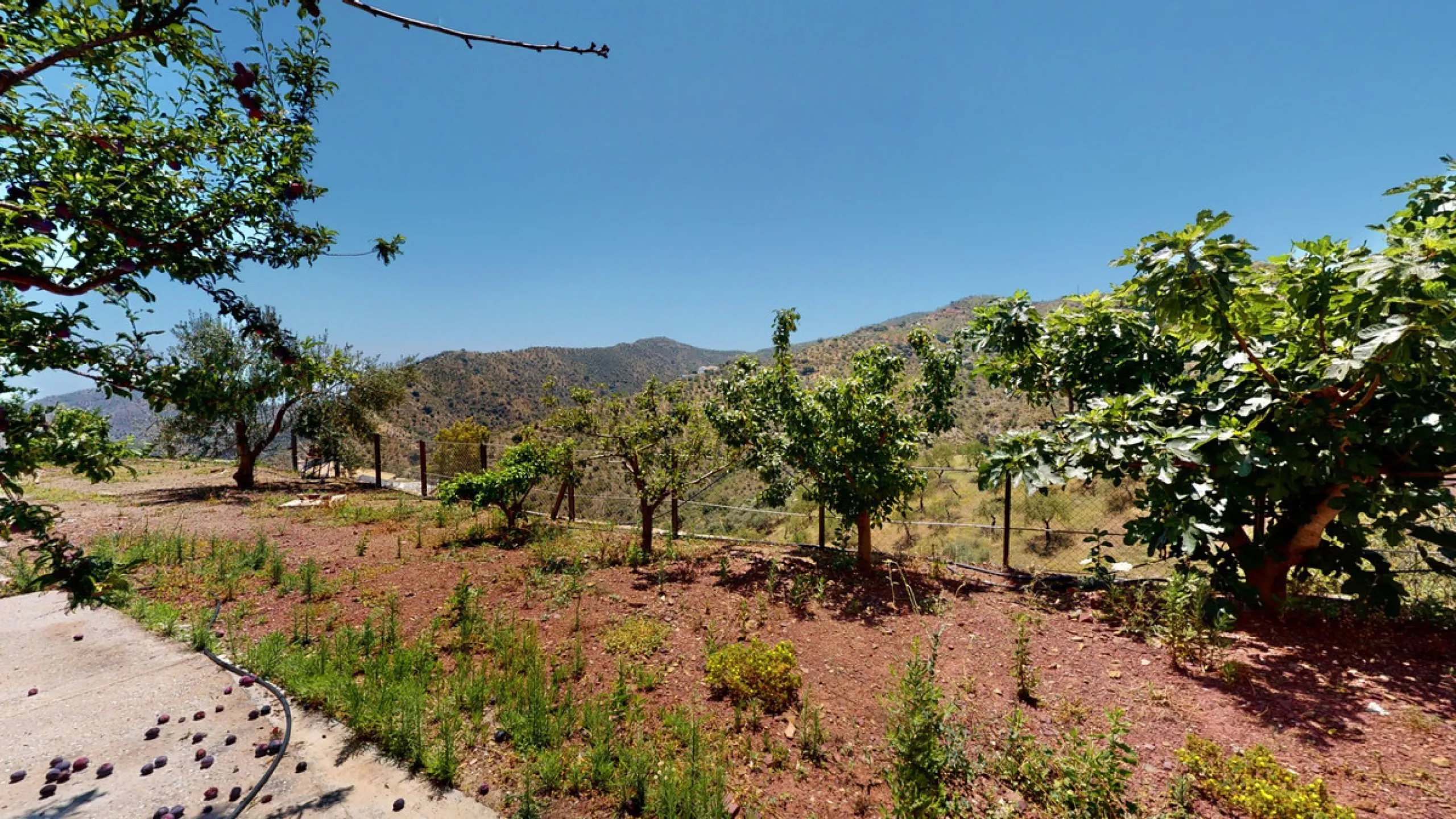 We are pleased to offer you the perfect investment in one of the most beautiful corners of Andalusia. In Comares one of the oldest municipalities of the Axarquia, one of the beautiful white villages, with a lot of historical background. Not far from the v