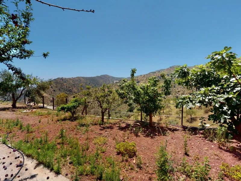 We are pleased to offer you the perfect investment in one of the most beautiful corners of Andalusia. In Comares one of the oldest municipalities of the Axarquia, one of the beautiful white villages, with a lot of historical background. Not far from the v
