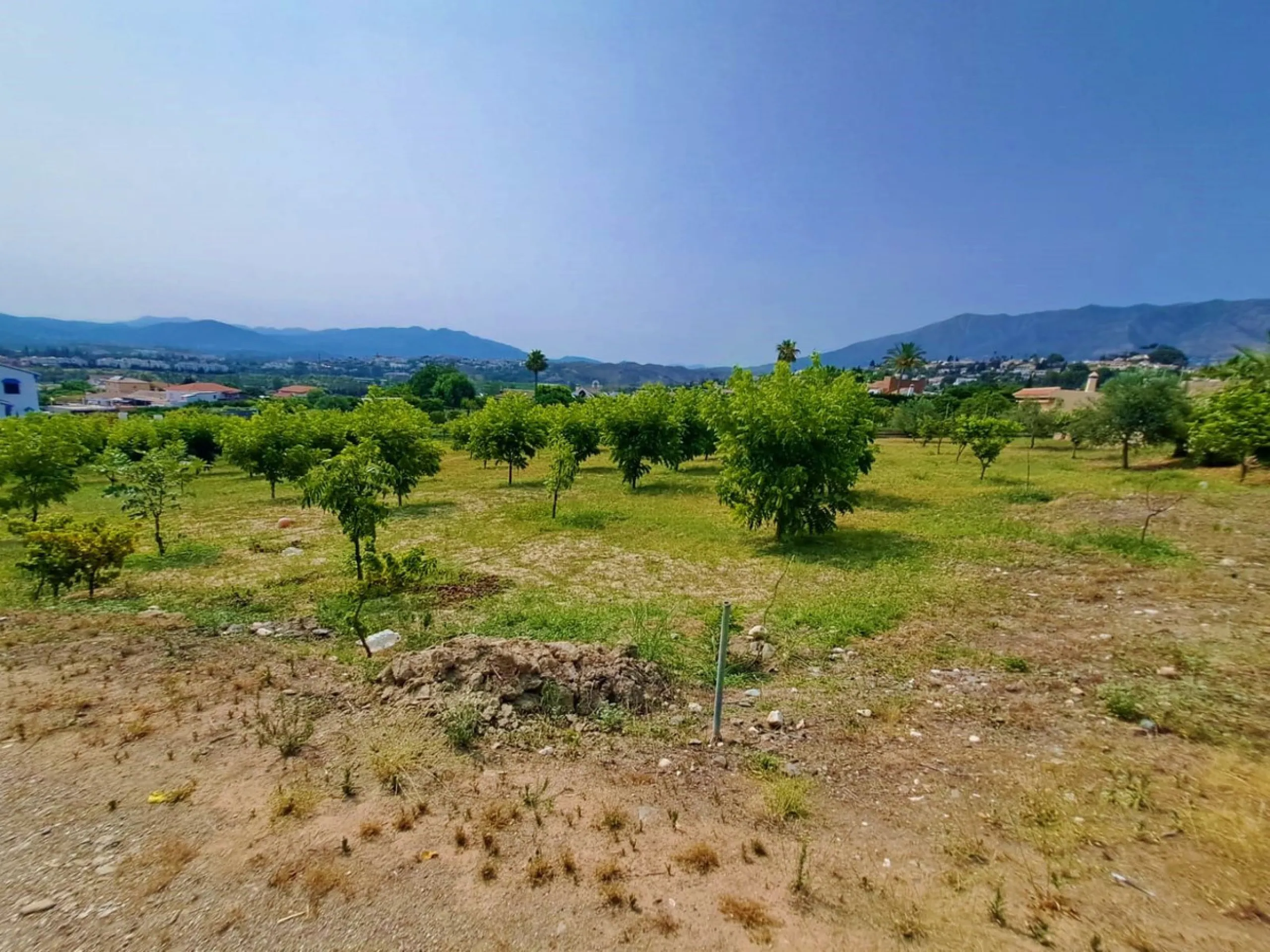 Plot of walnut trees of almost 5.000 m2 next to the Lagunas de Mijas. It is an agricultural property with electricity and water, it has a quarterly water cost of 150 euros fixed, so with 50 euros per month you have all the necessary water for the farm. On