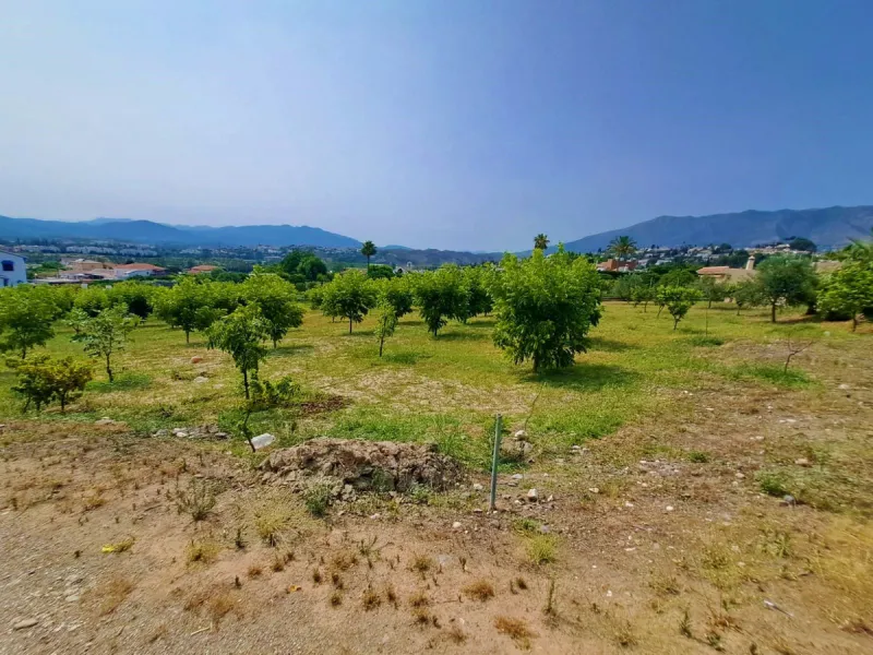 Plot of walnut trees of almost 5.000 m2 next to the Lagunas de Mijas. It is an agricultural property with electricity and water, it has a quarterly water cost of 150 euros fixed, so with 50 euros per month you have all the necessary water for the farm. On