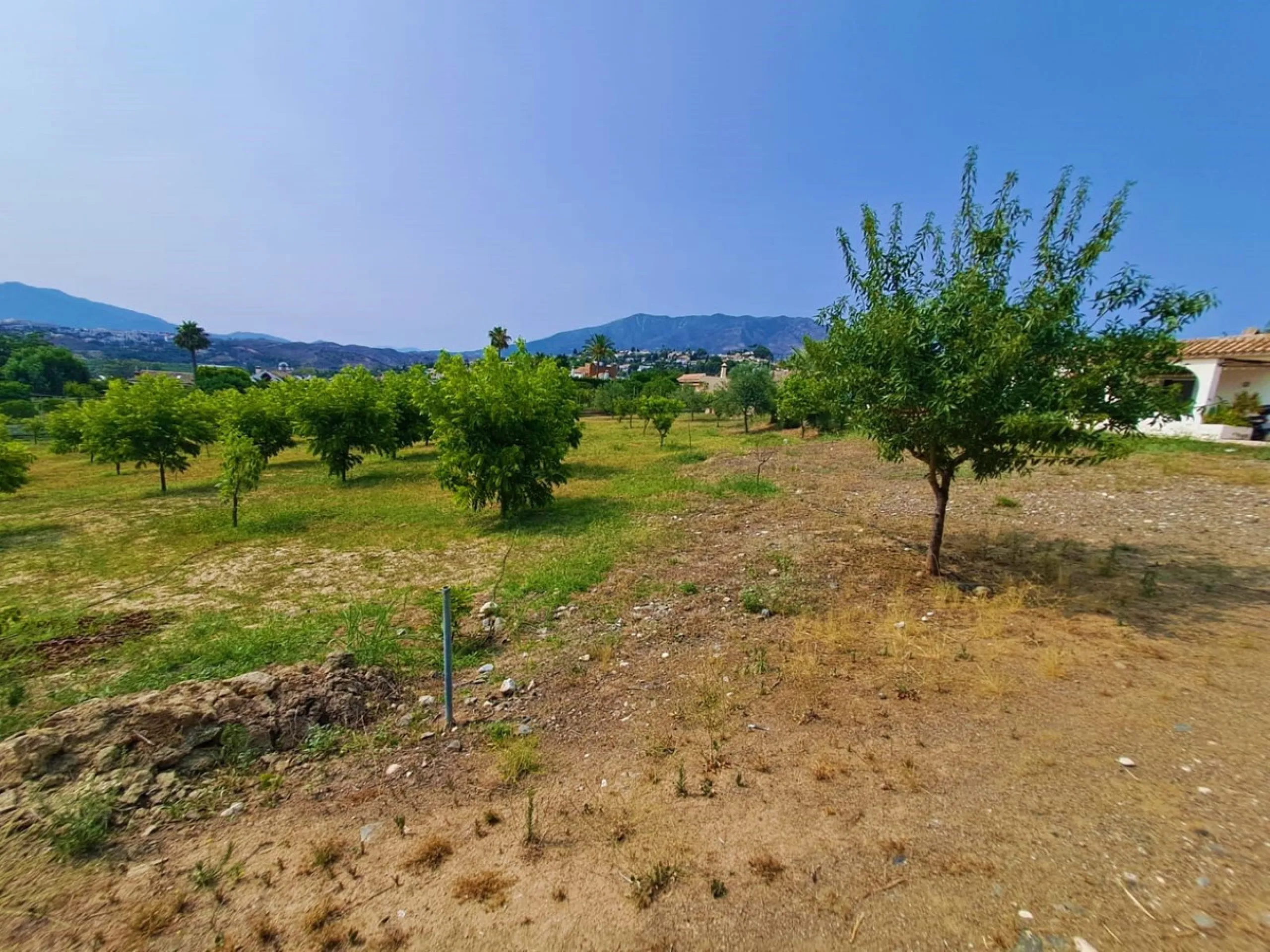 Plot of walnut trees of almost 5.000 m2 next to the Lagunas de Mijas. It is an agricultural property with electricity and water, it has a quarterly water cost of 150 euros fixed, so with 50 euros per month you have all the necessary water for the farm. On