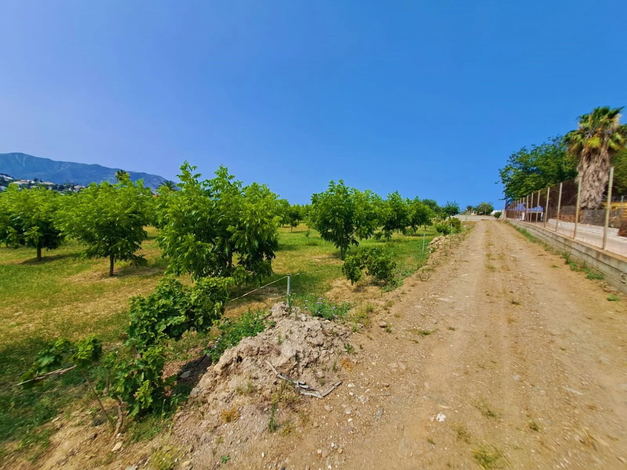 Plot of walnut trees of almost 5.000 m2 next to the Lagunas de Mijas. It is an agricultural property with electricity and water, it has a quarterly water cost of 150 euros fixed, so with 50 euros per month you have all the necessary water for the farm. On