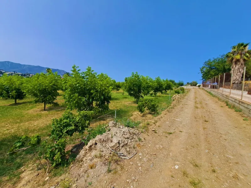 Plot of walnut trees of almost 5.000 m2 next to the Lagunas de Mijas. It is an agricultural property with electricity and water, it has a quarterly water cost of 150 euros fixed, so with 50 euros per month you have all the necessary water for the farm. On