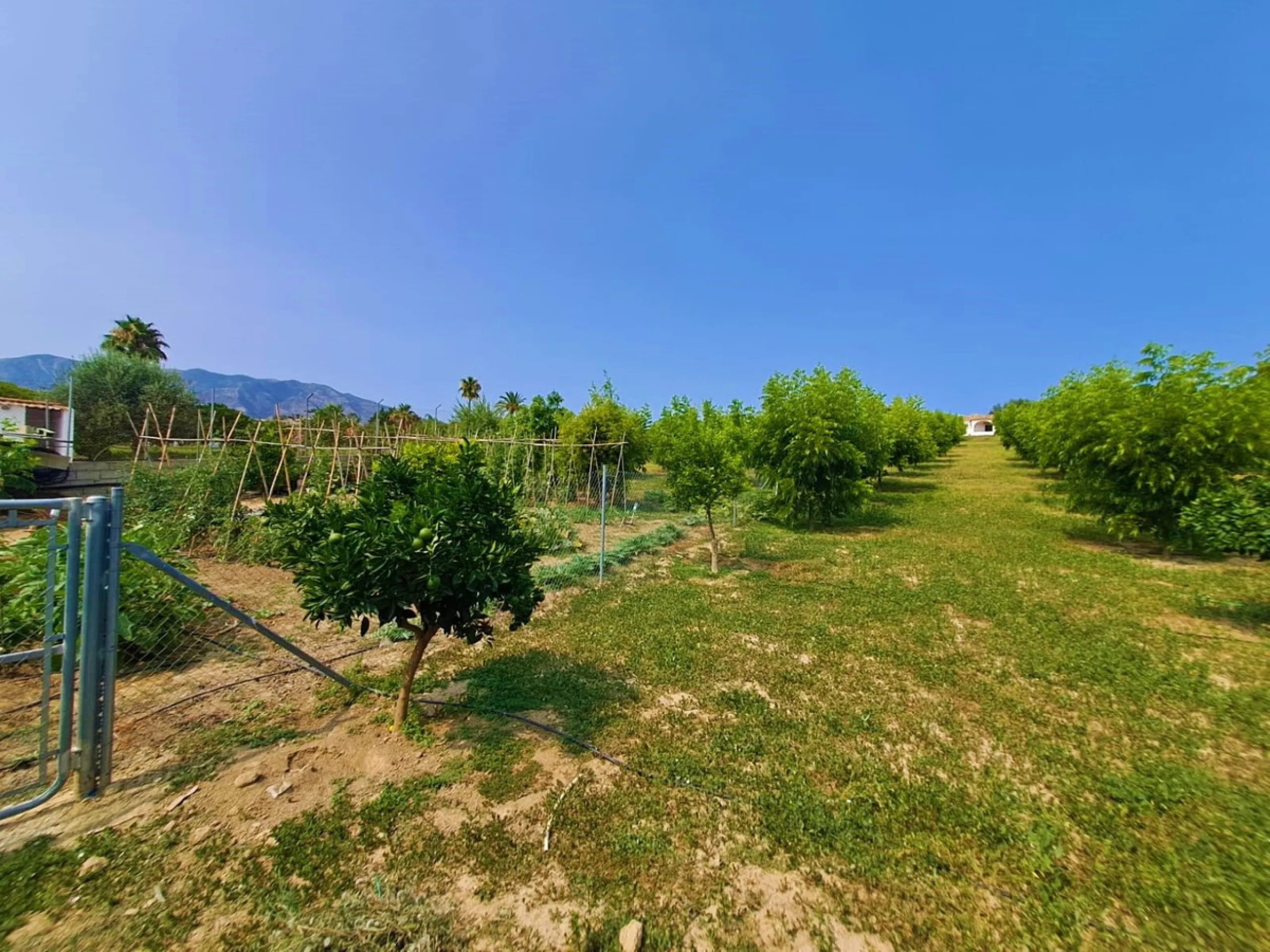 Plot of walnut trees of almost 5.000 m2 next to the Lagunas de Mijas. It is an agricultural property with electricity and water, it has a quarterly water cost of 150 euros fixed, so with 50 euros per month you have all the necessary water for the farm. On