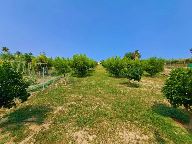 Plot of walnut trees of almost 5.000 m2 next to the Lagunas de Mijas. It is an agricultural property with electricity and water, it has a quarterly water cost of 150 euros fixed, so with 50 euros per month you have all the necessary water for the farm. On