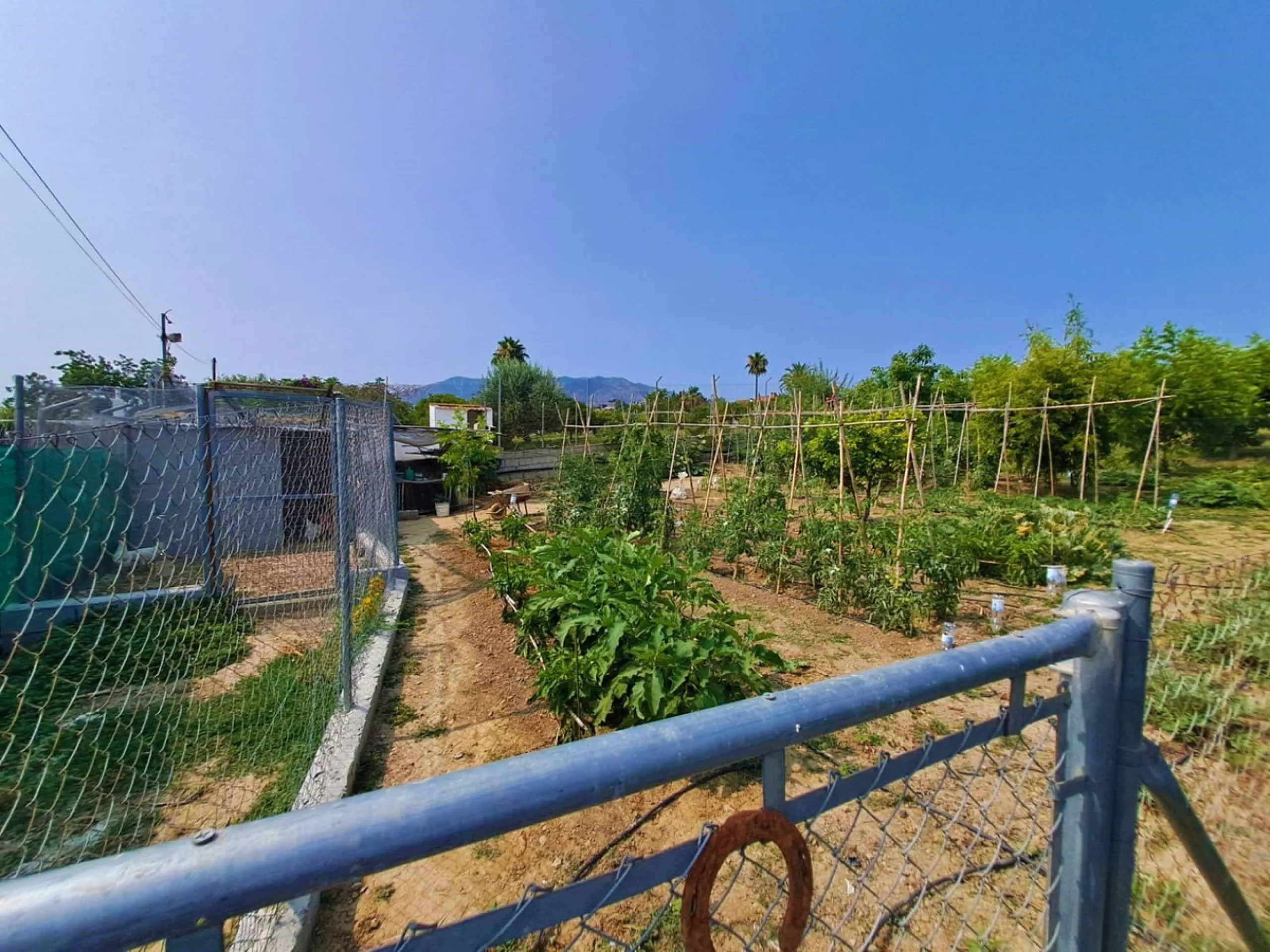 Plot of walnut trees of almost 5.000 m2 next to the Lagunas de Mijas. It is an agricultural property with electricity and water, it has a quarterly water cost of 150 euros fixed, so with 50 euros per month you have all the necessary water for the farm. On