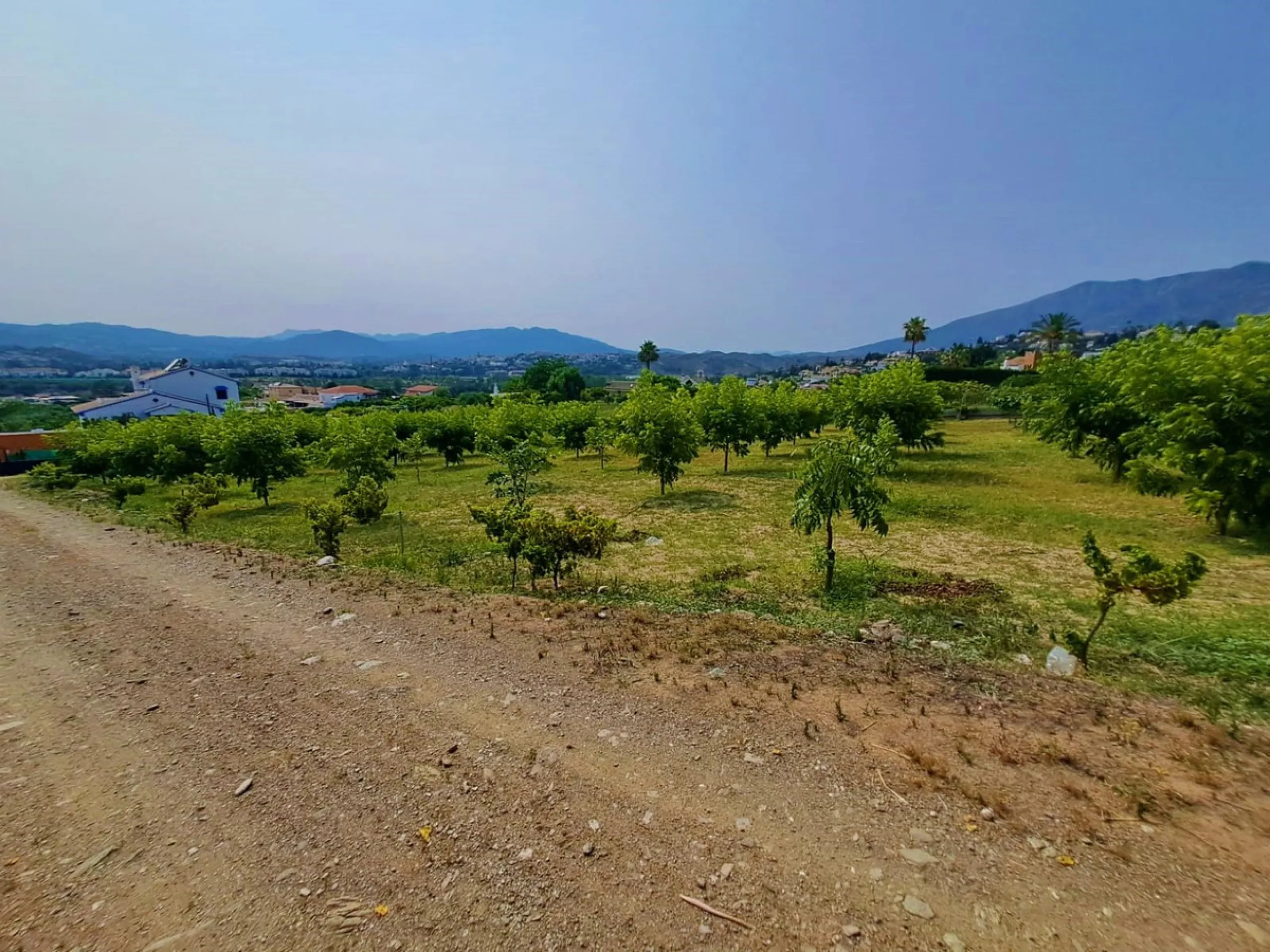 Plot of walnut trees of almost 5.000 m2 next to the Lagunas de Mijas. It is an agricultural property with electricity and water, it has a quarterly water cost of 150 euros fixed, so with 50 euros per month you have all the necessary water for the farm. On