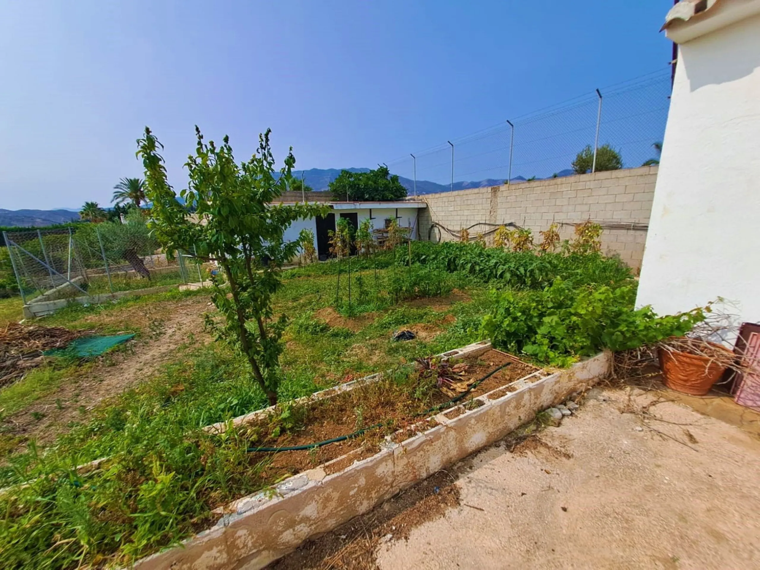 Plot of walnut trees of almost 5.000 m2 next to the Lagunas de Mijas. It is an agricultural property with electricity and water, it has a quarterly water cost of 150 euros fixed, so with 50 euros per month you have all the necessary water for the farm. On