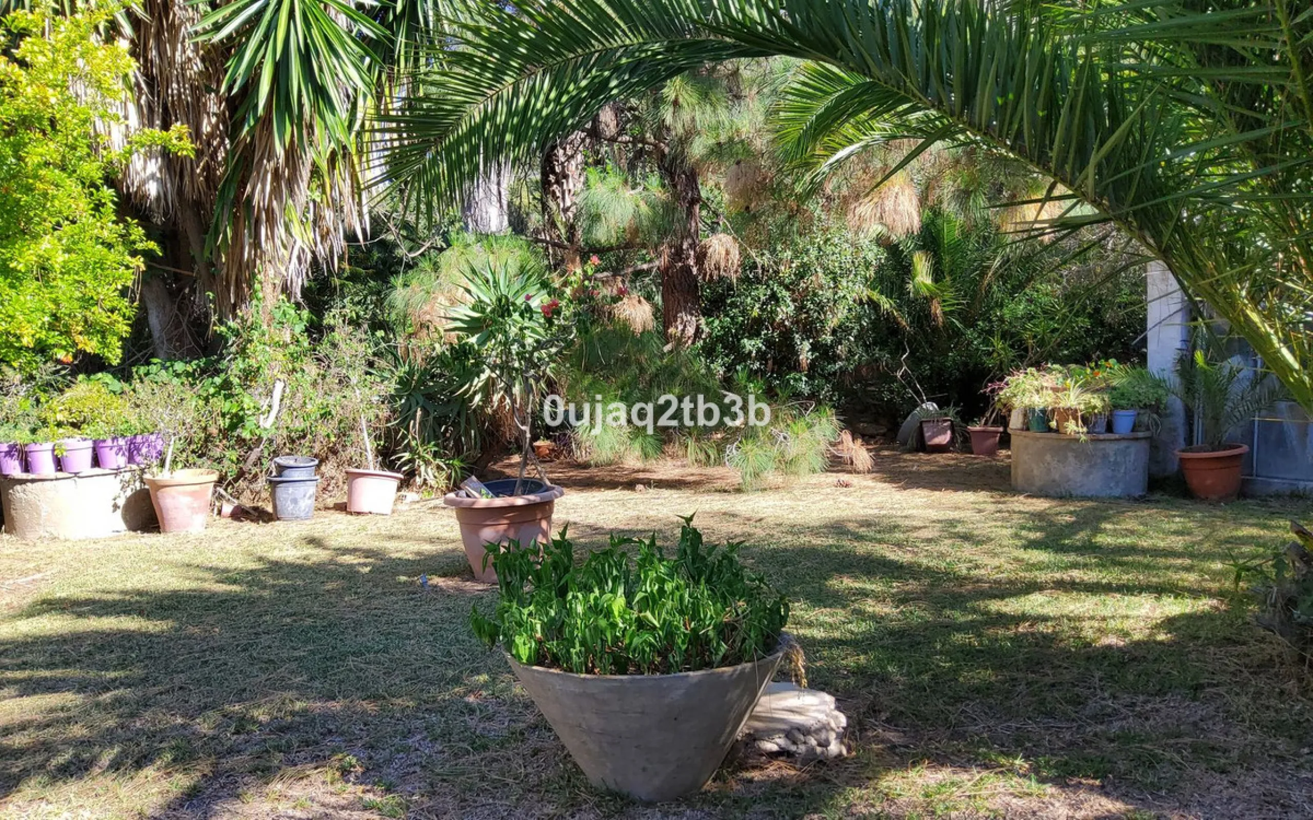 New to the market investment opportunity in Mijas. This over 10.000 square meter plot in Mijas municipality is only 15 minutes away from the beach in Fuengirola and 20 from Malaga´s airport. 5 minutes to Mijas pueblo.