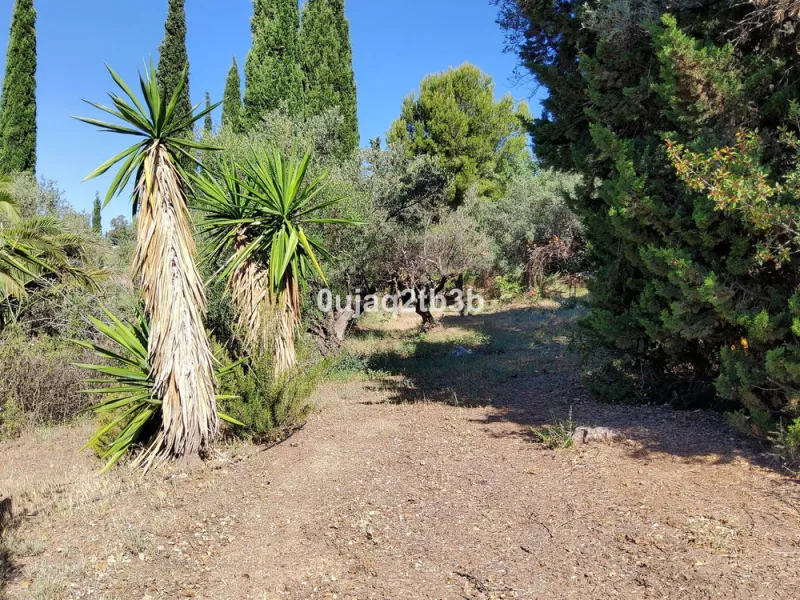 New to the market investment opportunity in Mijas. This over 10.000 square meter plot in Mijas municipality is only 15 minutes away from the beach in Fuengirola and 20 from Malaga´s airport. 5 minutes to Mijas pueblo.