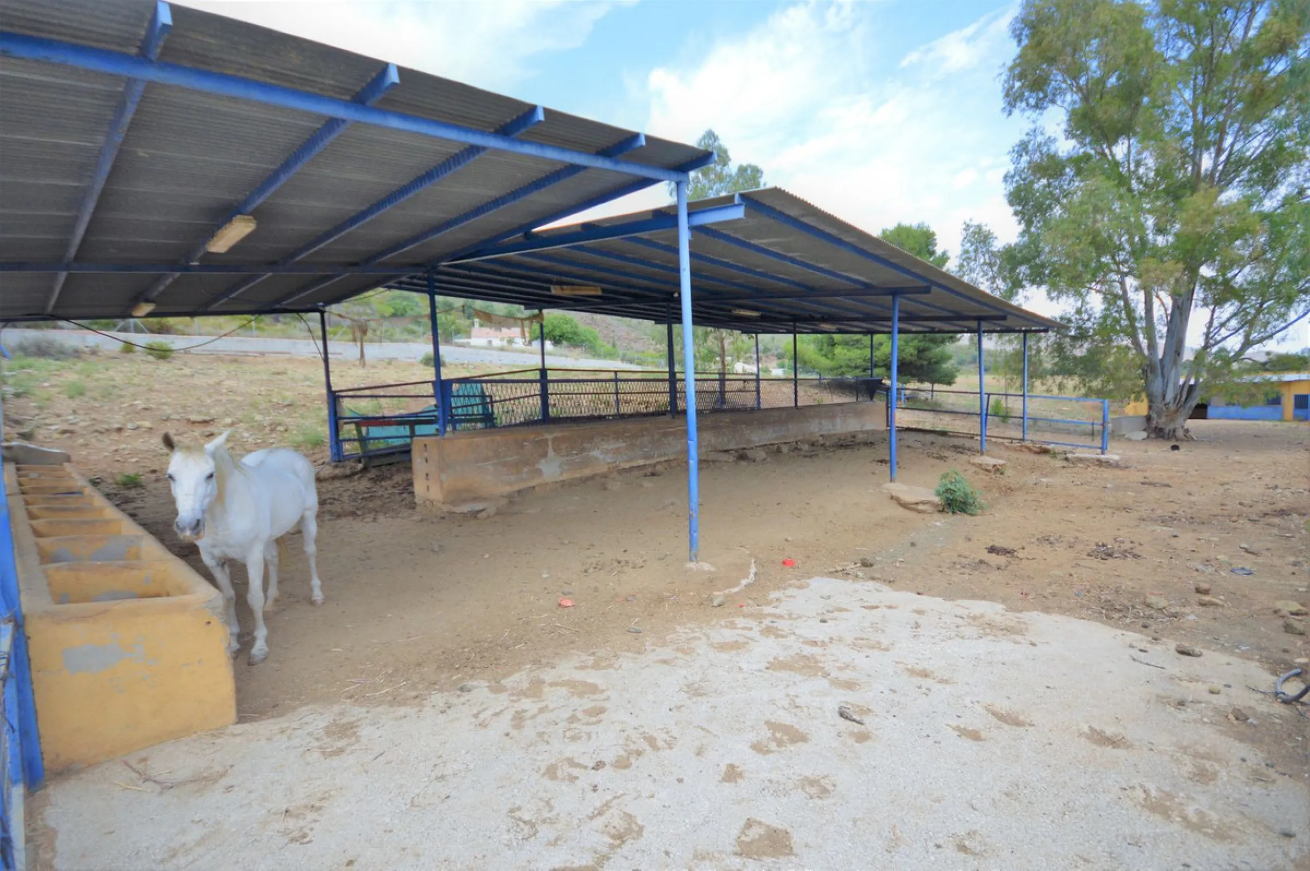 Fantastic and unique equestrian farm in an area surrounded by pine forests and Mediterranean vegetation.