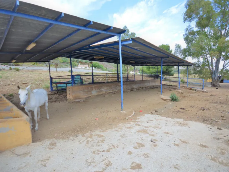 Fantastic and unique equestrian farm in an area surrounded by pine forests and Mediterranean vegetation.