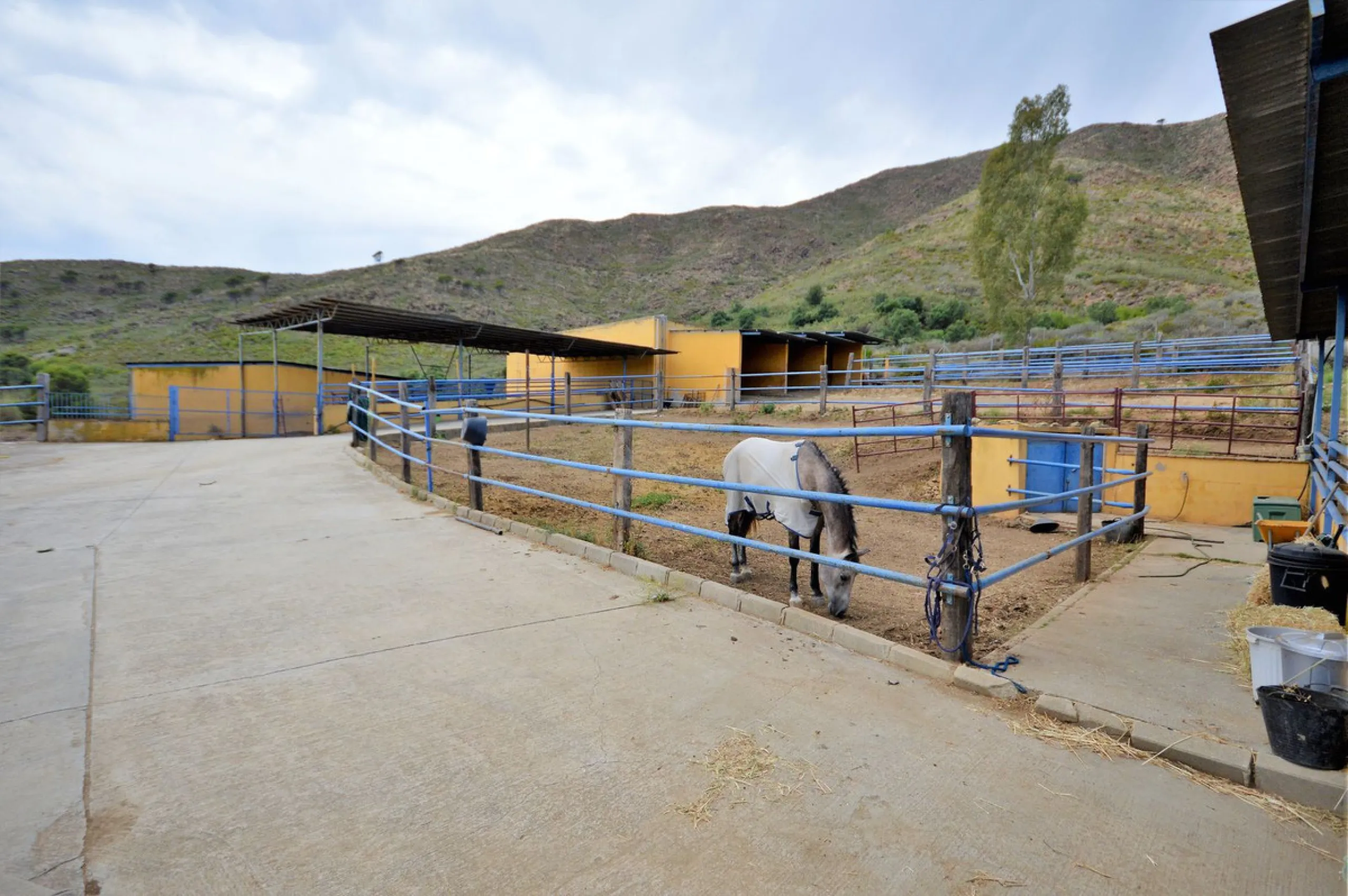 Fantastic and unique equestrian farm in an area surrounded by pine forests and Mediterranean vegetation.