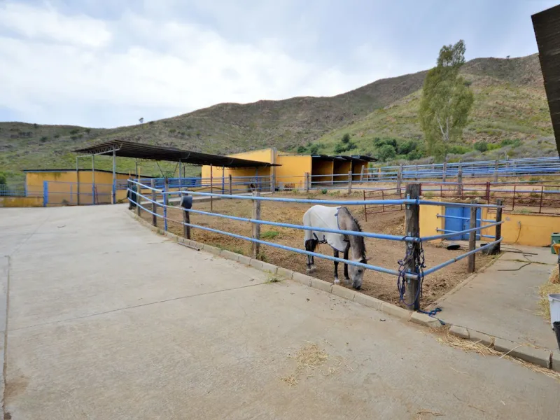 Fantastic and unique equestrian farm in an area surrounded by pine forests and Mediterranean vegetation.
