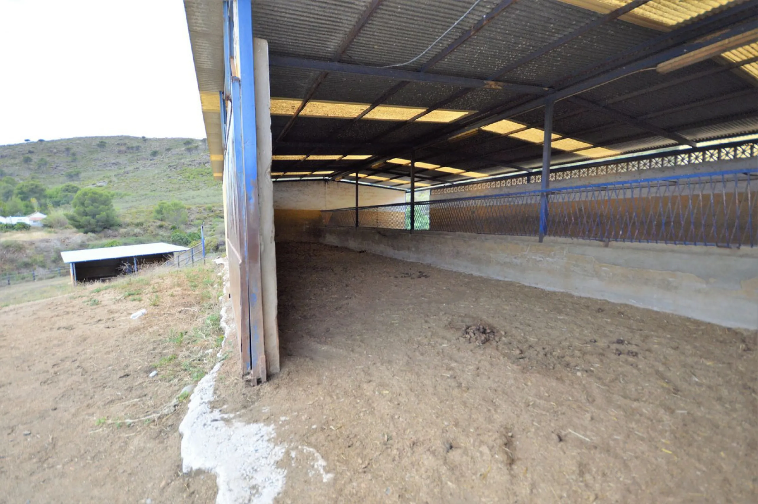 Fantastic and unique equestrian farm in an area surrounded by pine forests and Mediterranean vegetation.