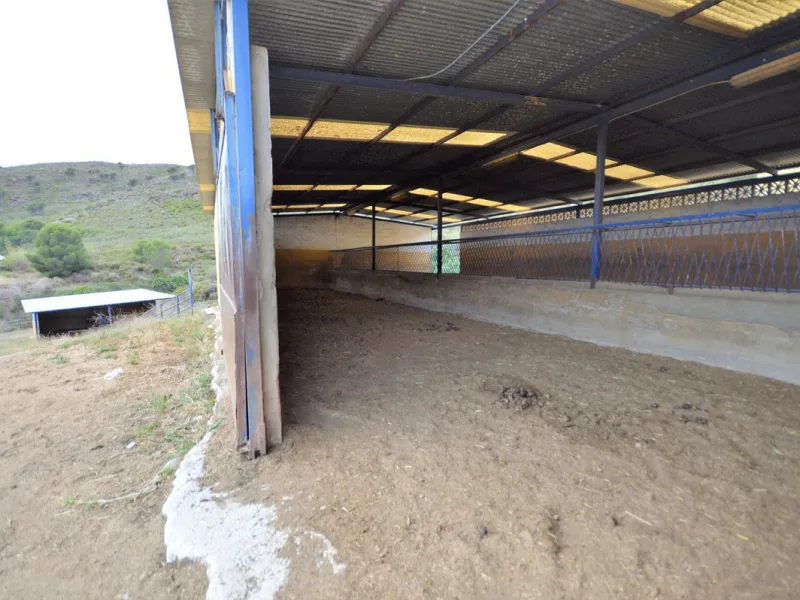 Fantastic and unique equestrian farm in an area surrounded by pine forests and Mediterranean vegetation.