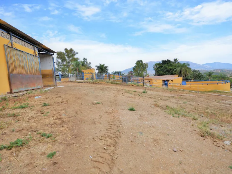 Fantastic and unique equestrian farm in an area surrounded by pine forests and Mediterranean vegetation.