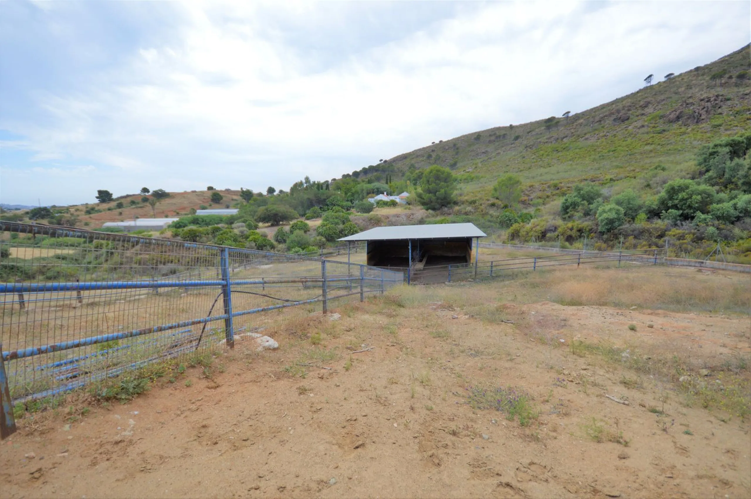 Fantastic and unique equestrian farm in an area surrounded by pine forests and Mediterranean vegetation.