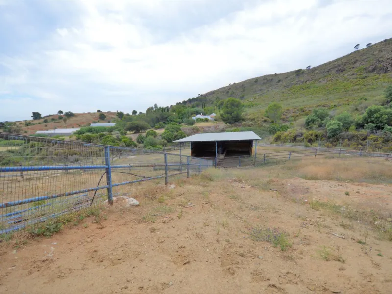 Fantastic and unique equestrian farm in an area surrounded by pine forests and Mediterranean vegetation.