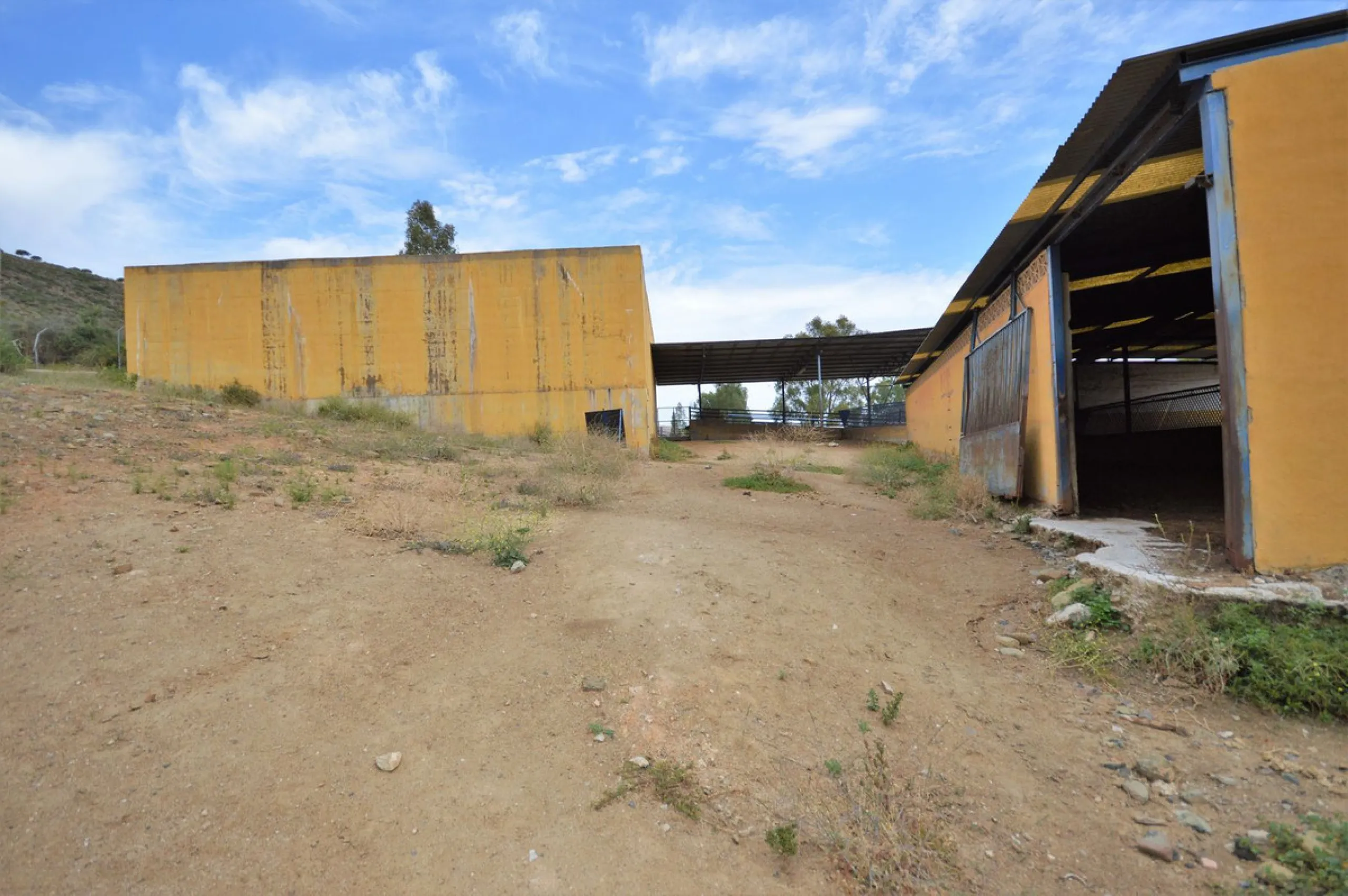 Fantastic and unique equestrian farm in an area surrounded by pine forests and Mediterranean vegetation.