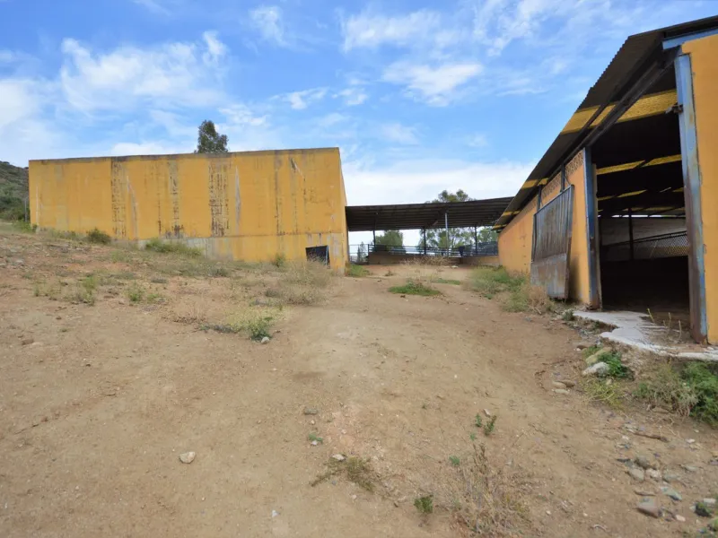 Fantastic and unique equestrian farm in an area surrounded by pine forests and Mediterranean vegetation.