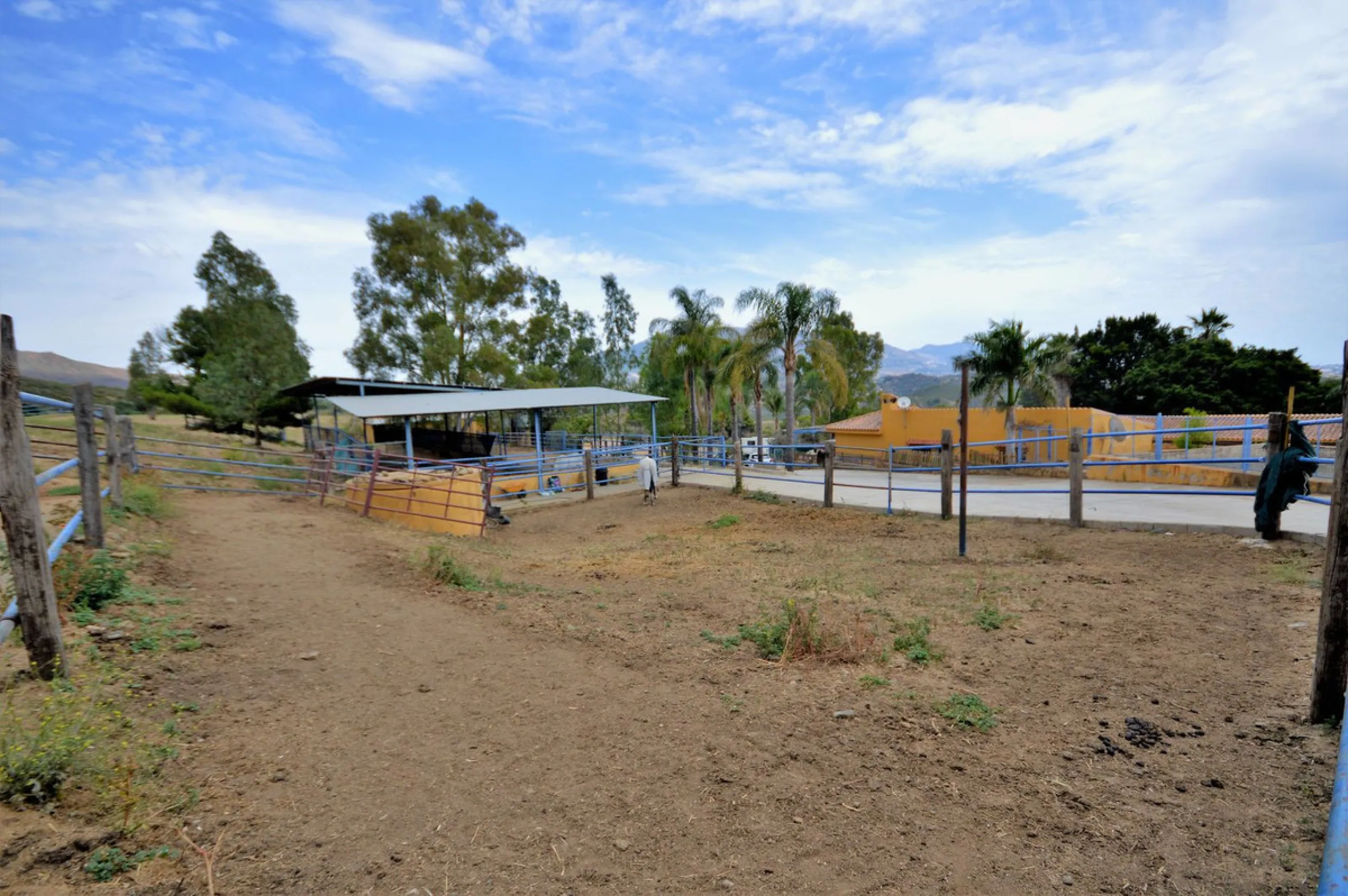 Fantastic and unique equestrian farm in an area surrounded by pine forests and Mediterranean vegetation.