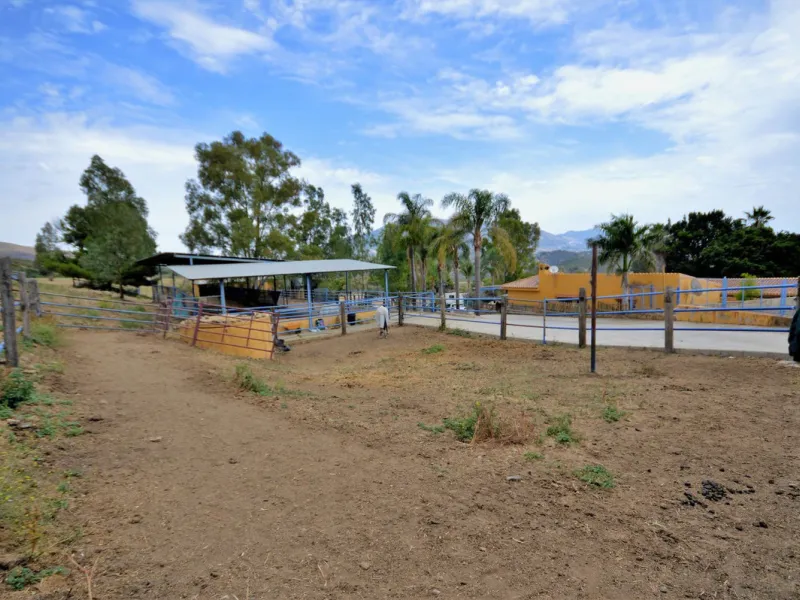 Fantastic and unique equestrian farm in an area surrounded by pine forests and Mediterranean vegetation.