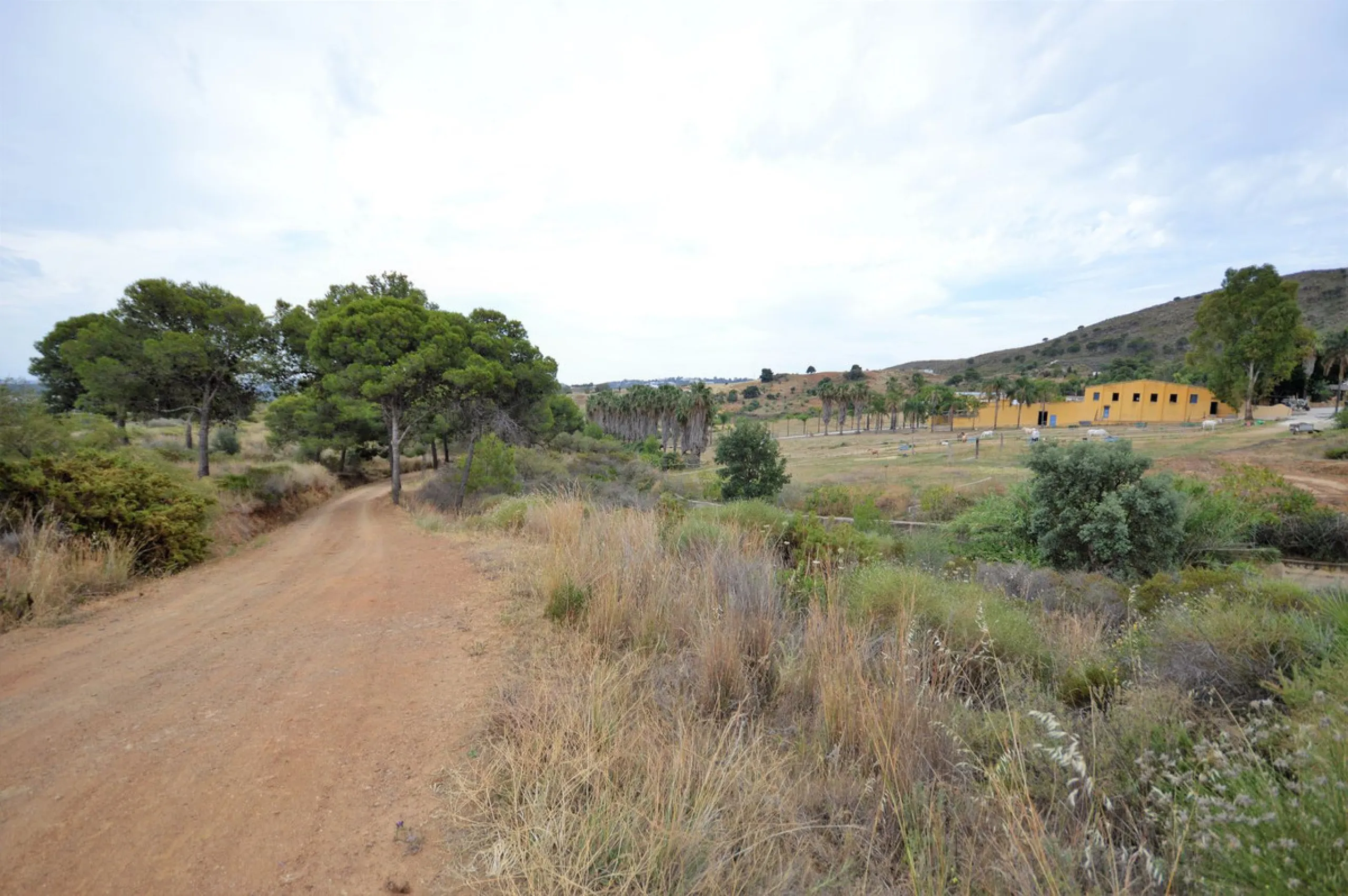 Fantastic and unique equestrian farm in an area surrounded by pine forests and Mediterranean vegetation.