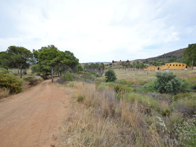 Fantastic and unique equestrian farm in an area surrounded by pine forests and Mediterranean vegetation.