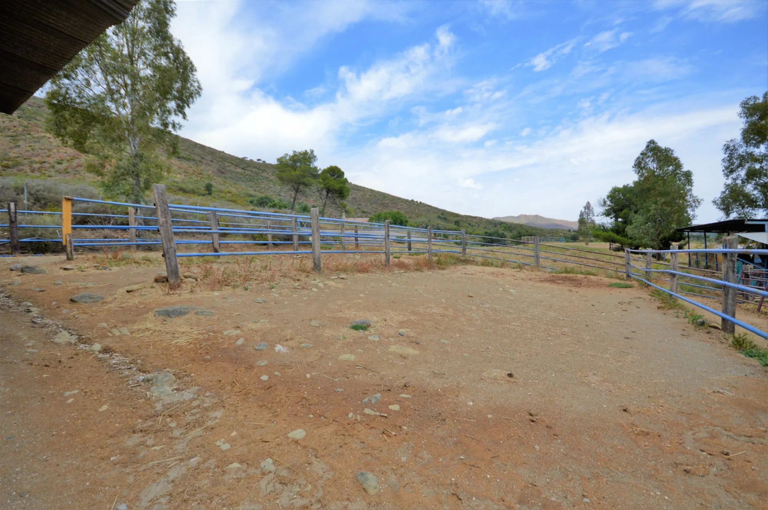 Fantastic and unique equestrian farm in an area surrounded by pine forests and Mediterranean vegetation.
