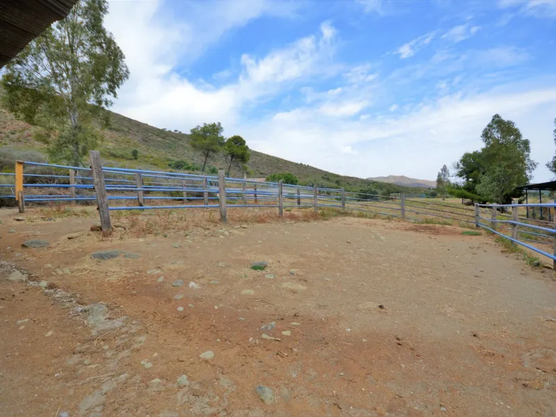 Fantastic and unique equestrian farm in an area surrounded by pine forests and Mediterranean vegetation.