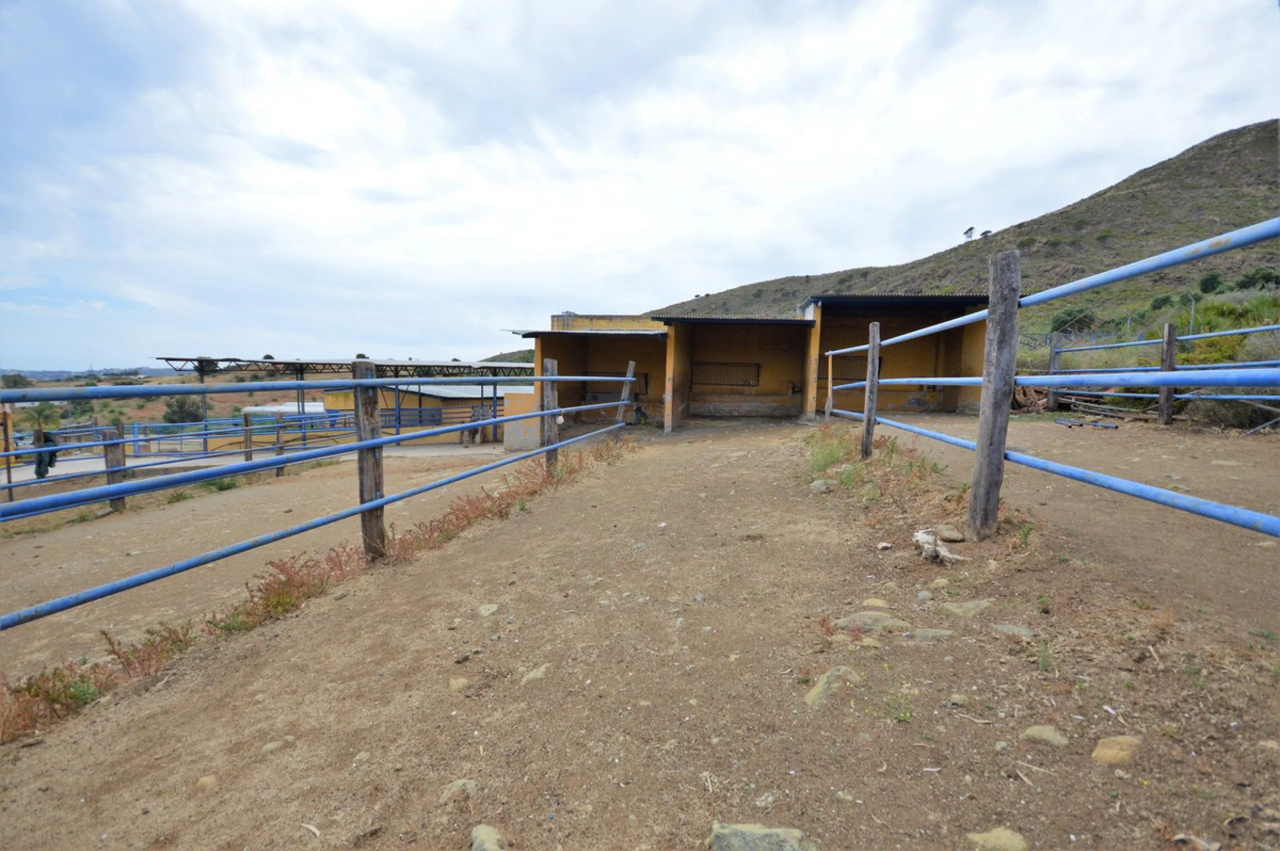 Fantastic and unique equestrian farm in an area surrounded by pine forests and Mediterranean vegetation.