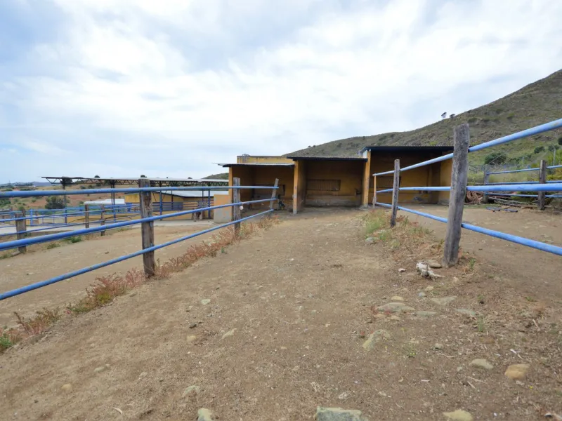 Fantastic and unique equestrian farm in an area surrounded by pine forests and Mediterranean vegetation.