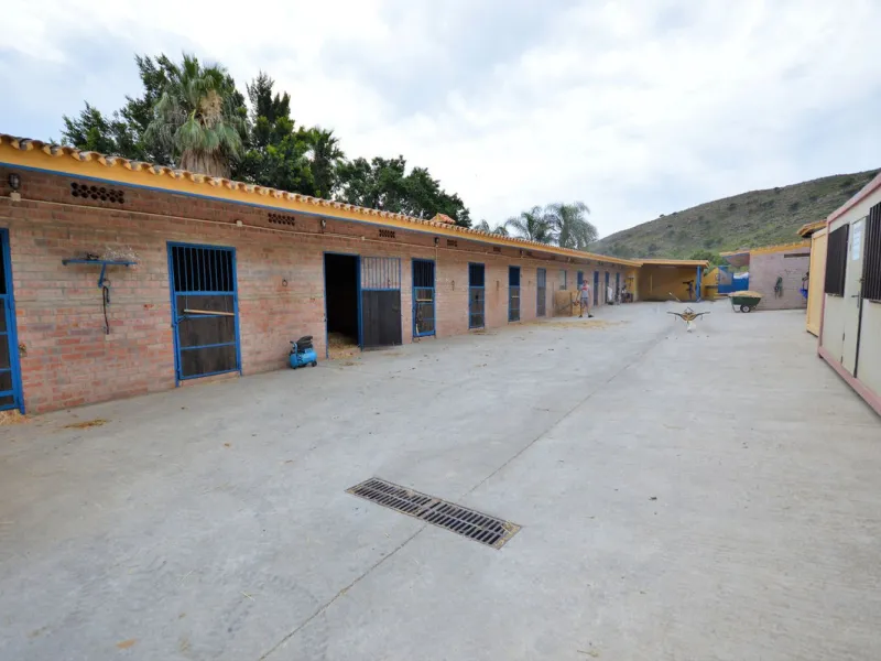 Fantastic and unique equestrian farm in an area surrounded by pine forests and Mediterranean vegetation.